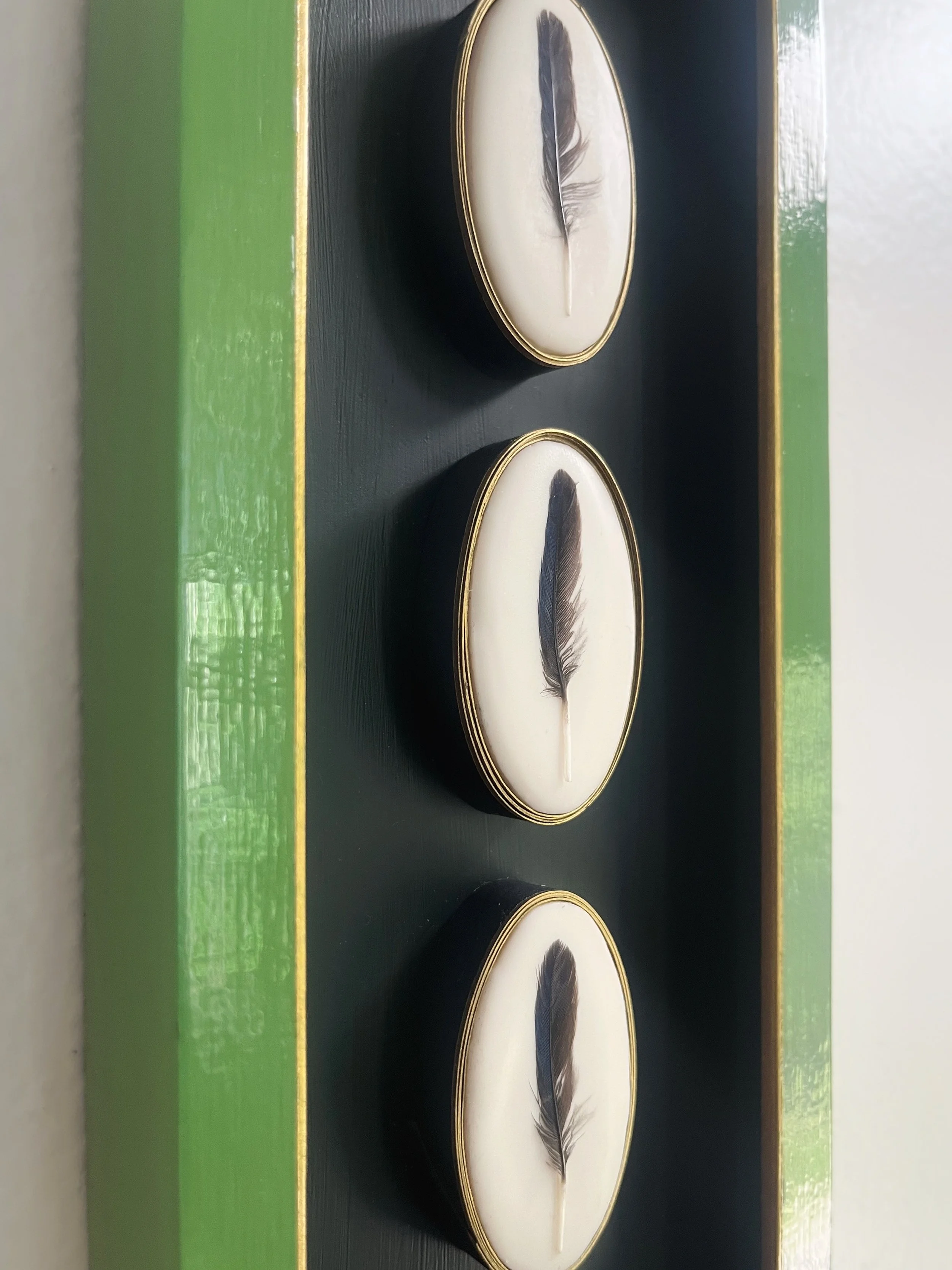 Close-up of framed decorative feathers on a black background with green and gold borders