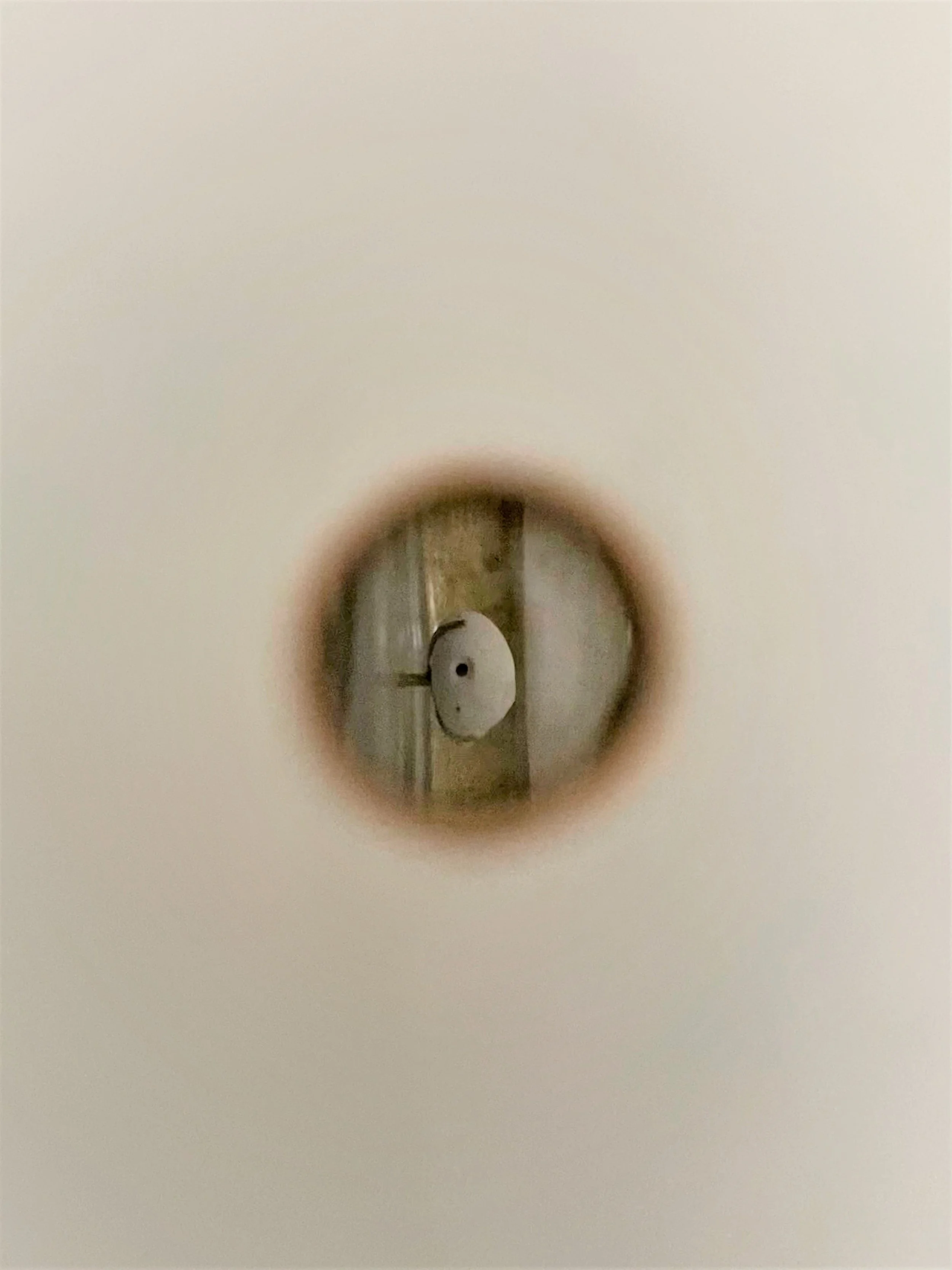Close-up of a small white suction cup attached to a dark metal surface.