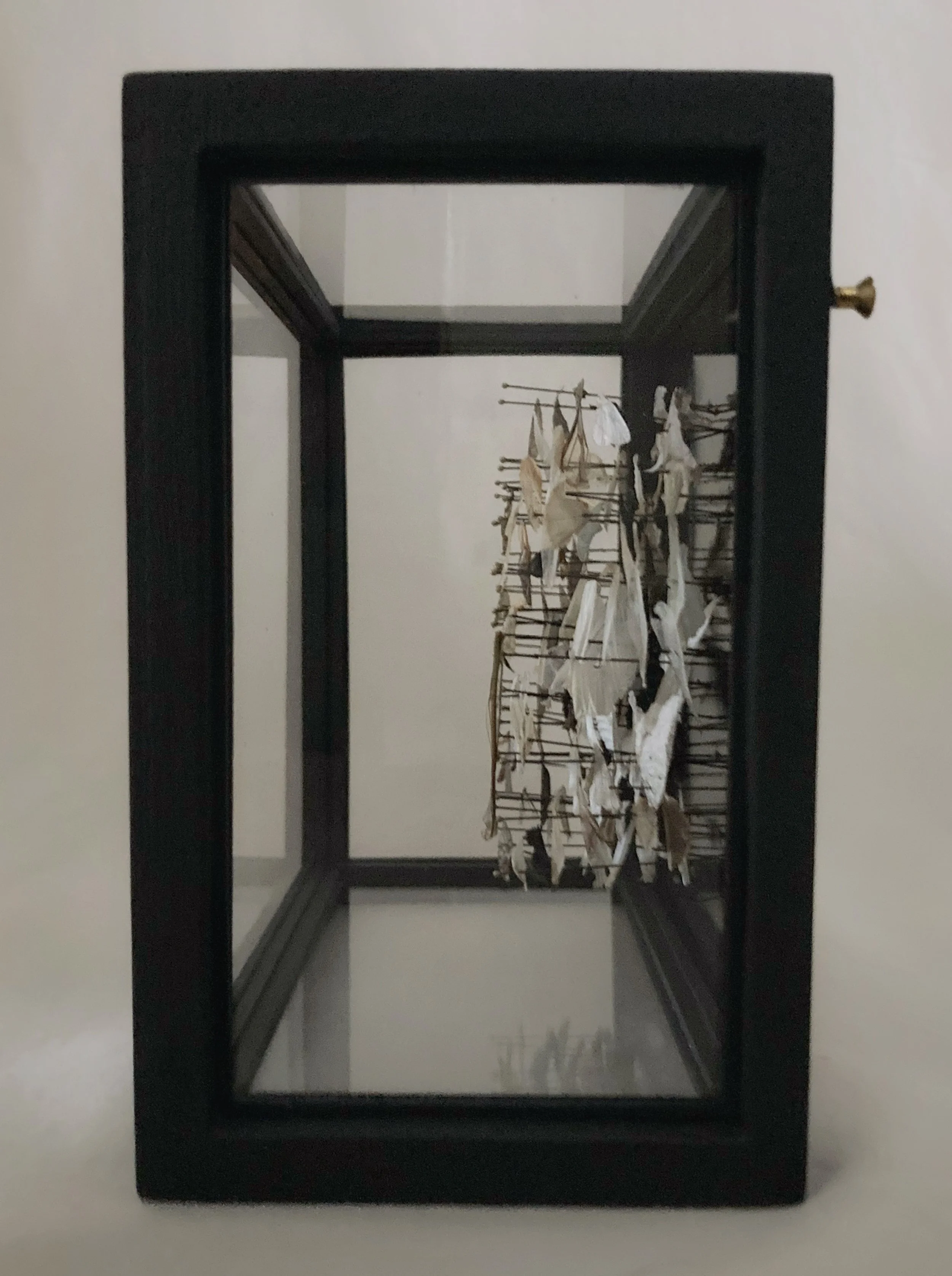 Black-framed shadow box displaying a dried floral arrangement mounted on a branch lattice.
