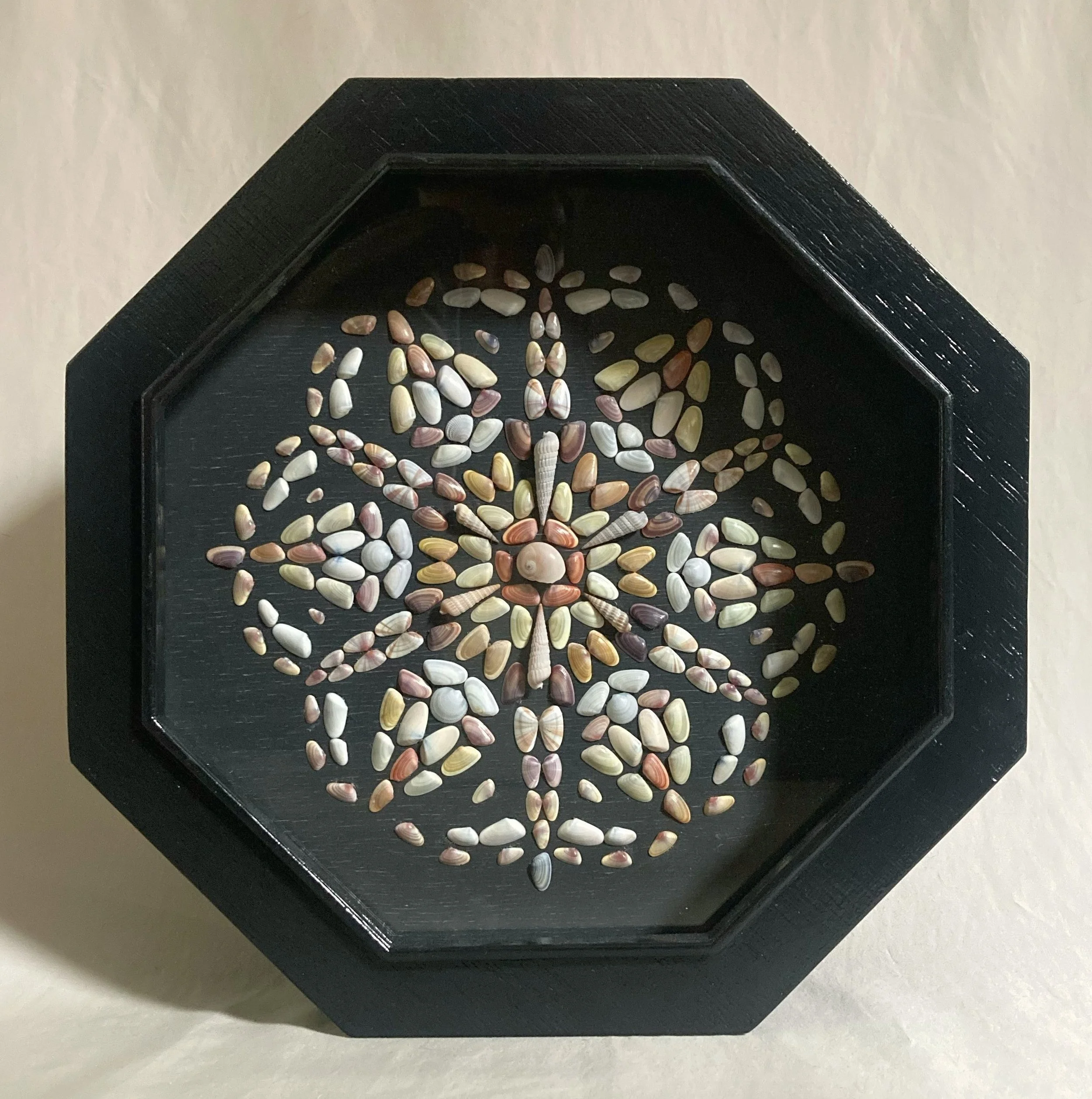 Colorful seashells arranged in a butterfly pattern on a black octagonal tray