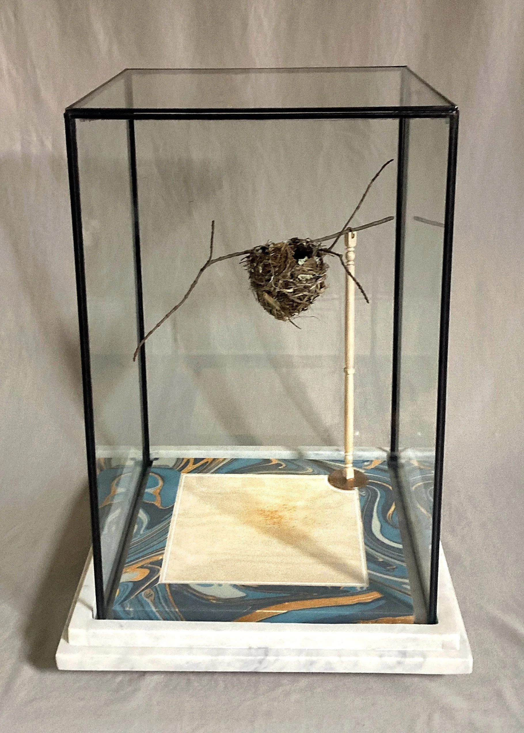 Glass display case containing a small bird nest mounted on a branch and supported by a wooden stand