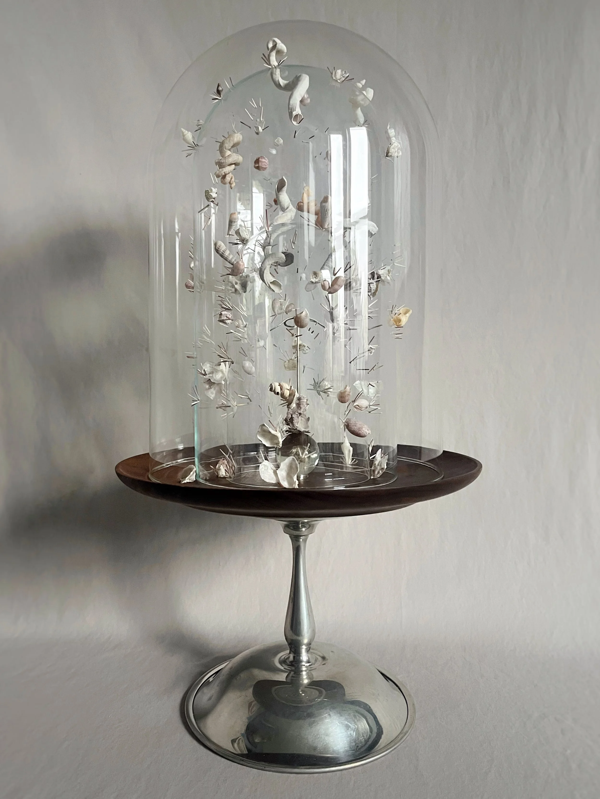 Decorative glass cloche filled with seashells and sea urchin spines on a silver pedestal stand