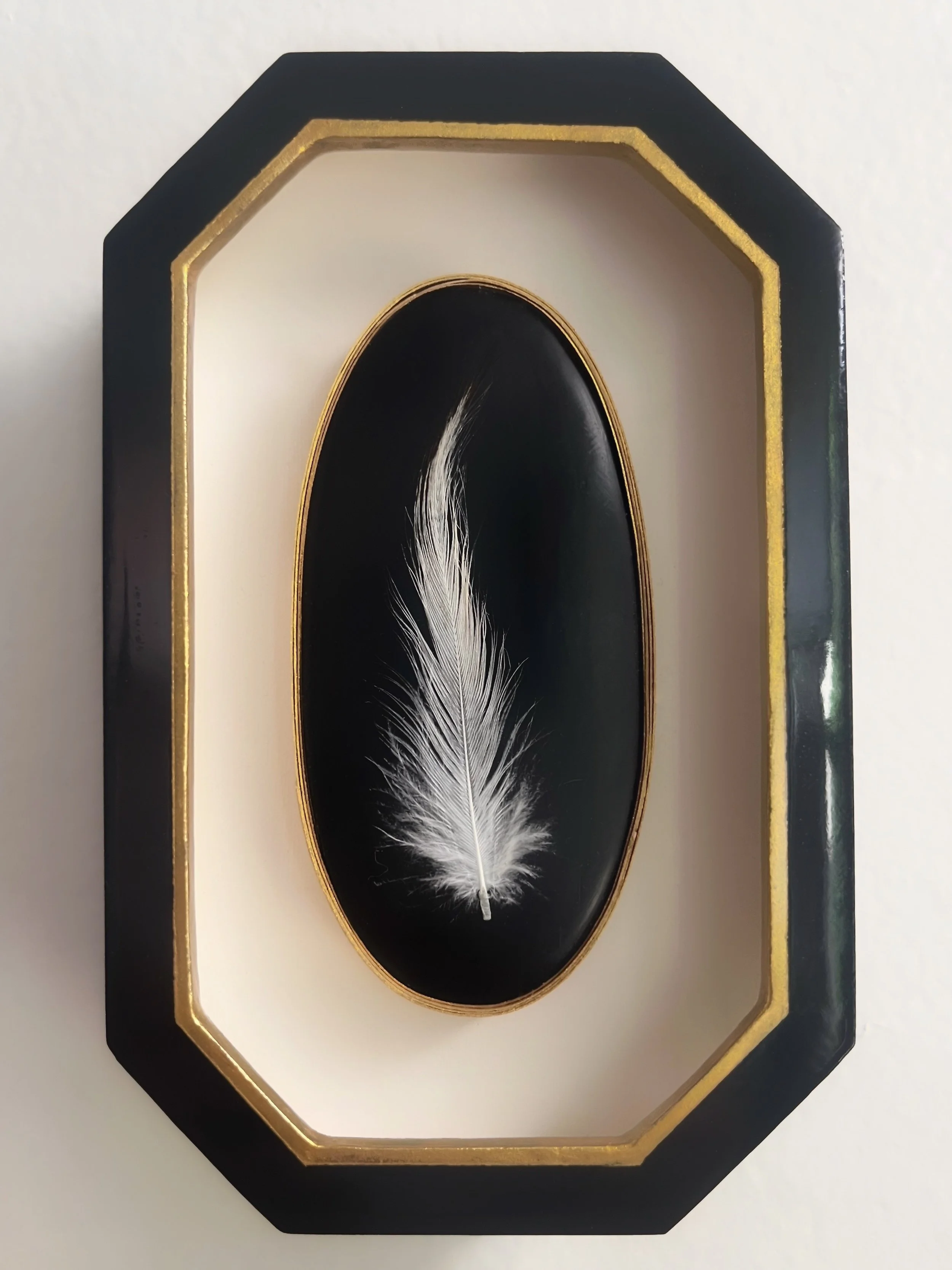 Framed white feather mounted on a black oval background with gold trim
