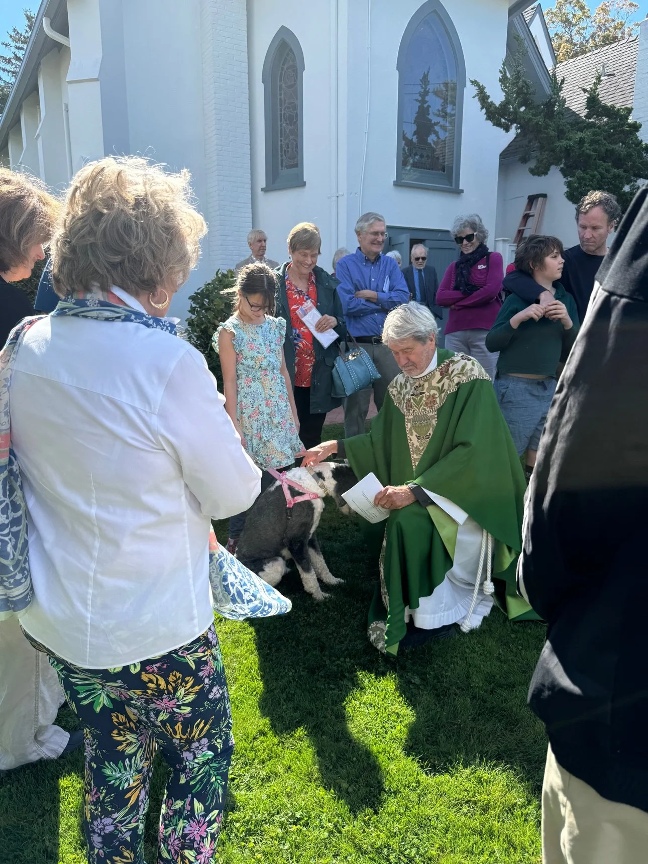 Fr. Joslin blessing a dog on the lawn