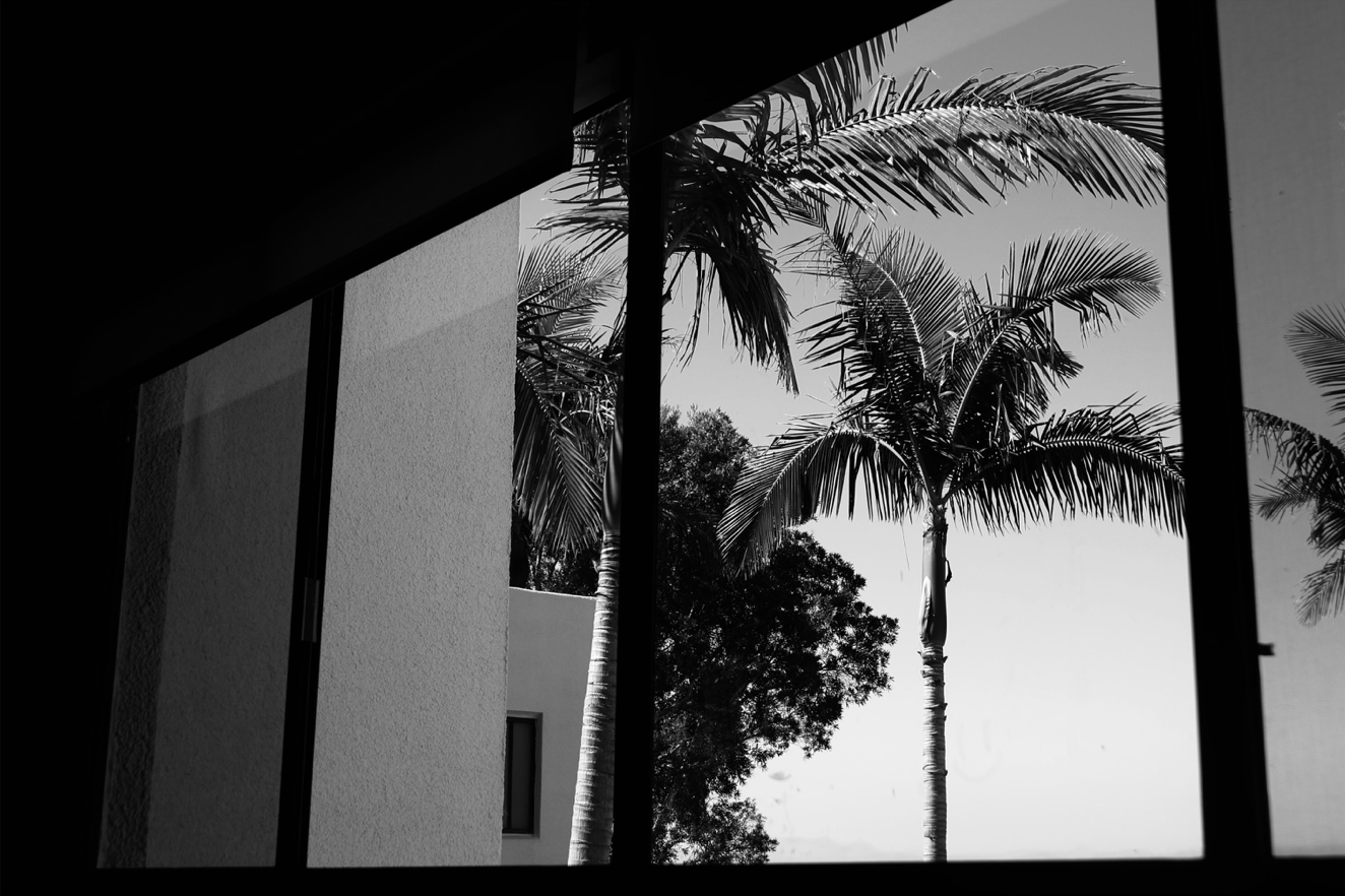 window.png