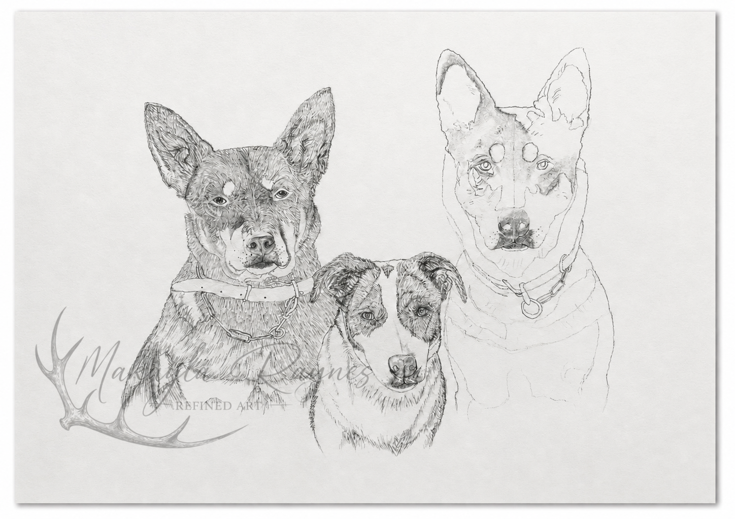 Detailed pencil drawing of three dogs wearing collars, with an antler-shaped logo and artist watermark.