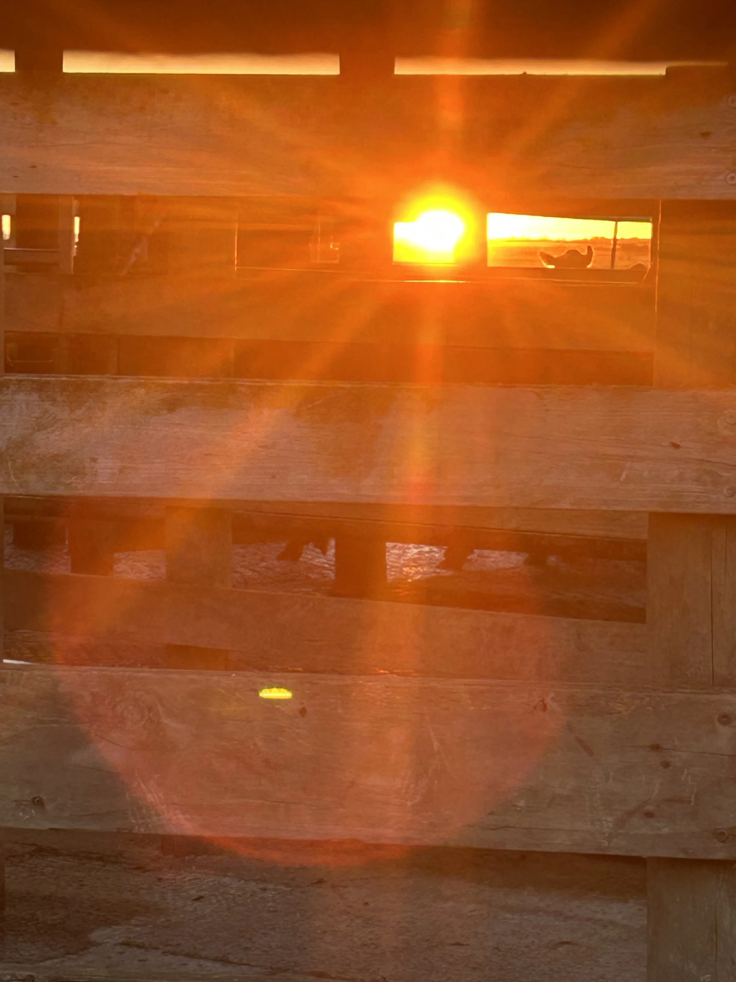 Close-up of intense orange sunlight shining through a rustic wooden fence.