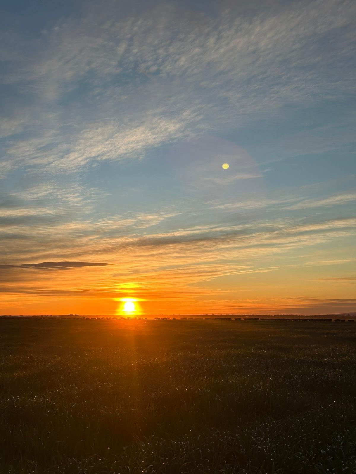 Golden stillness Print