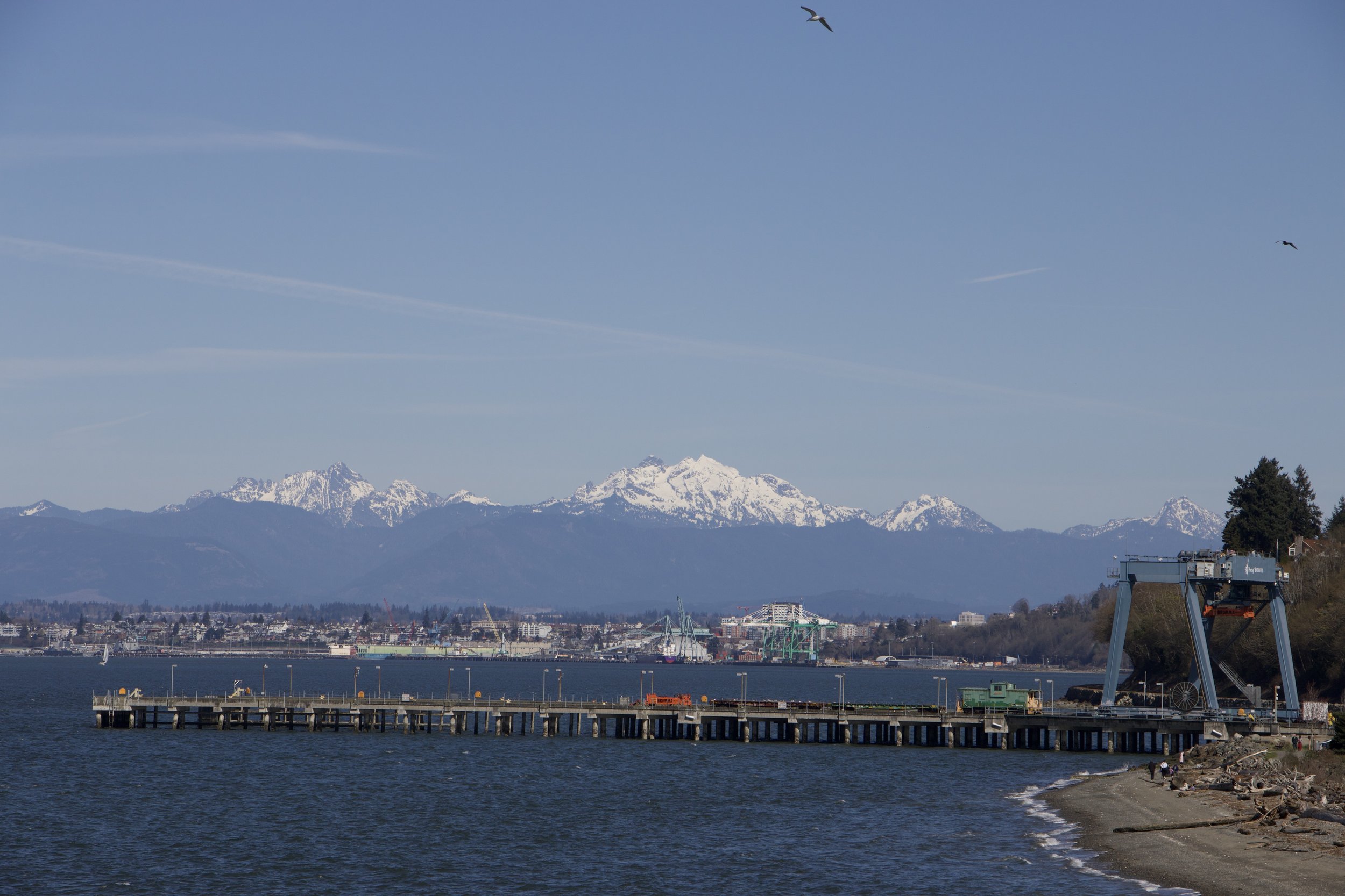 IMG_9881 (1).JPEG