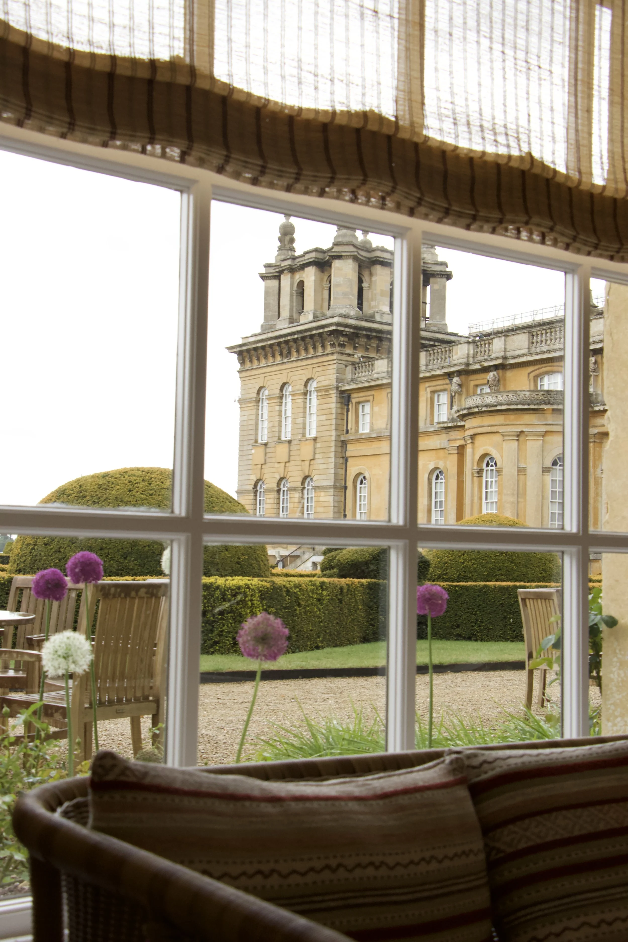 View through a window of the exterior of Blenheim Palace, manicured gardens, and purple allium flowers.