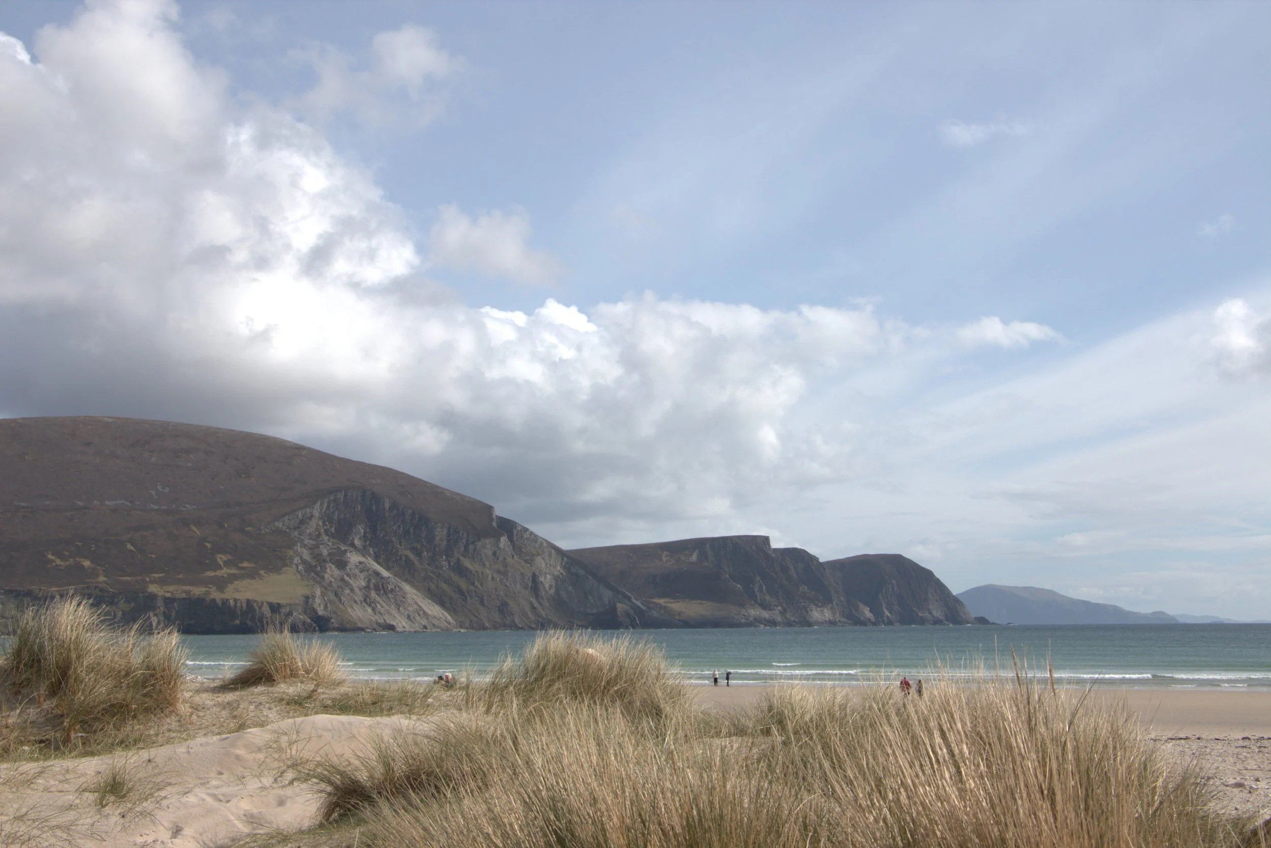 Keel Beach on Achill Island, County Mayo, Ireland. This is an image showing the beach, wild grasses, ocean, and the jutting landmasses that create the dramatic landscape.