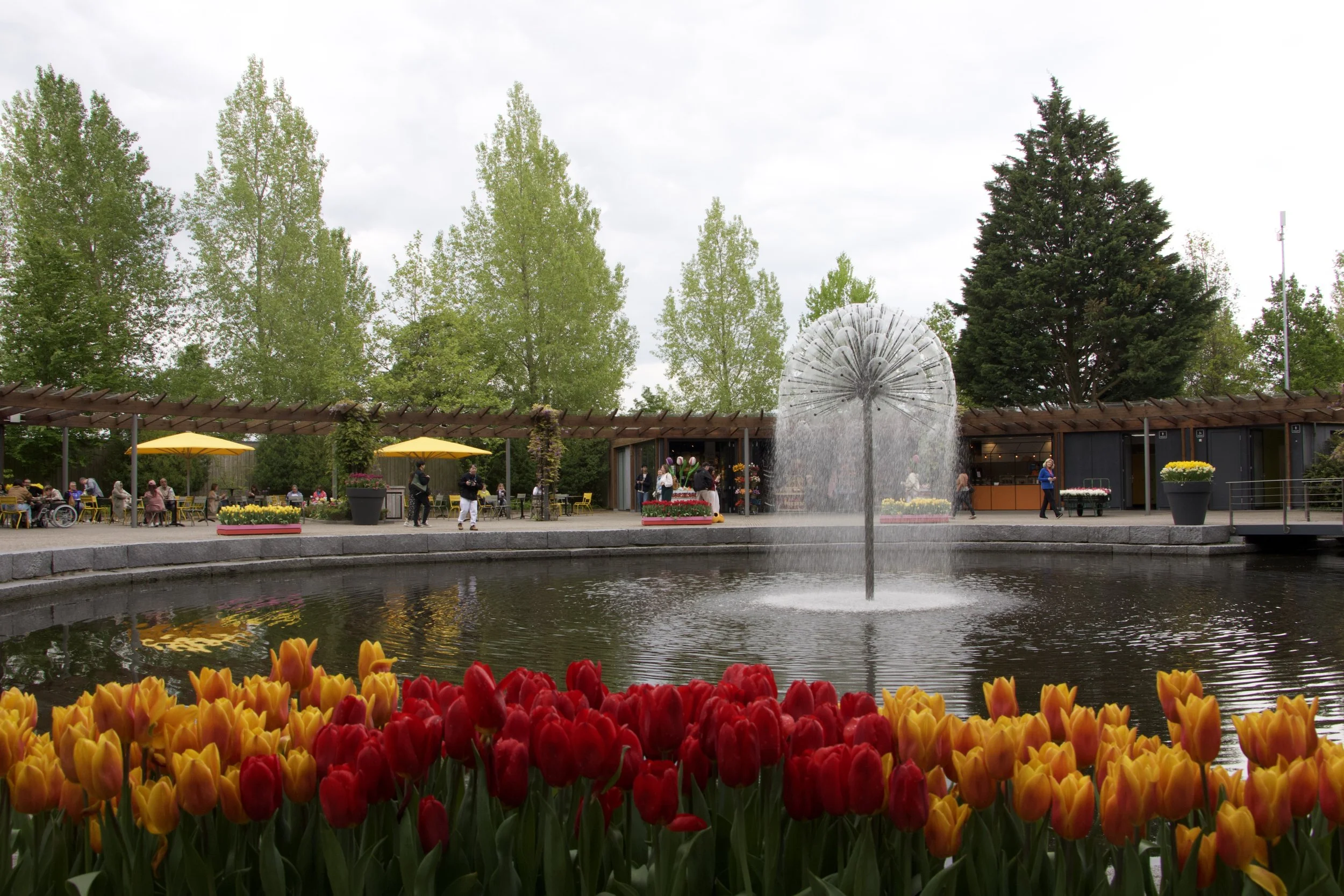 Colorful red and yellow tulips beside a pond with a large fountain, outdoor seating, and a tree-lined garden pavilion.