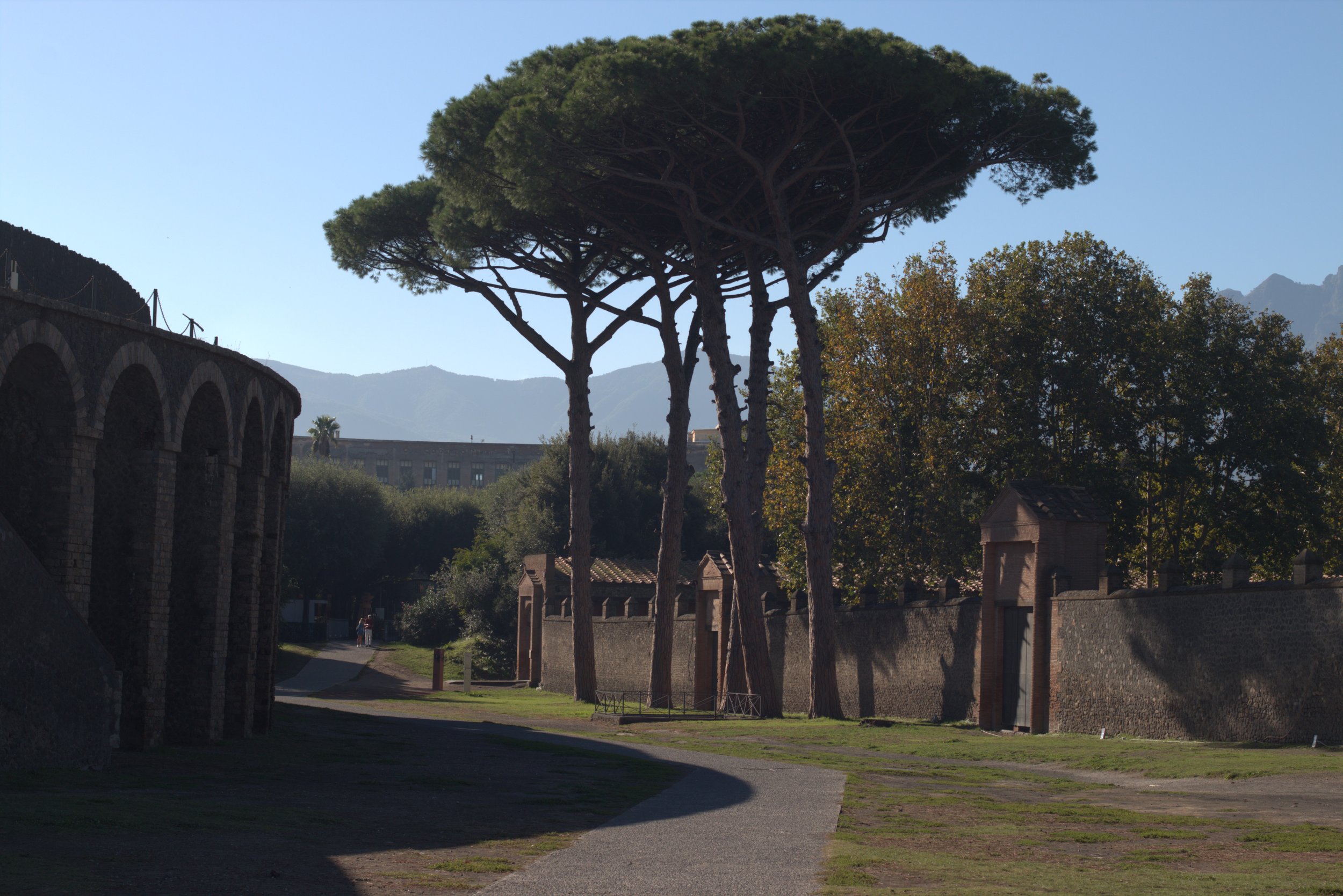 Historic stone aqueduct and umbrella-shaped pine trees with mountains in the background