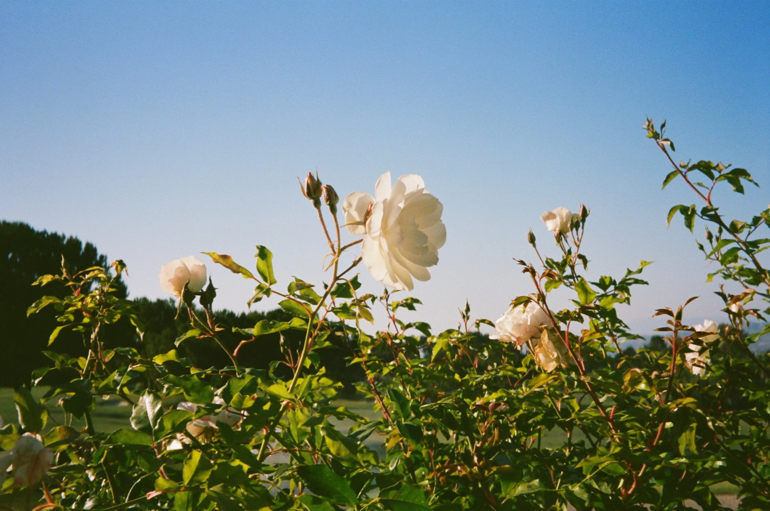 YouandPhoto-Film14.jpg