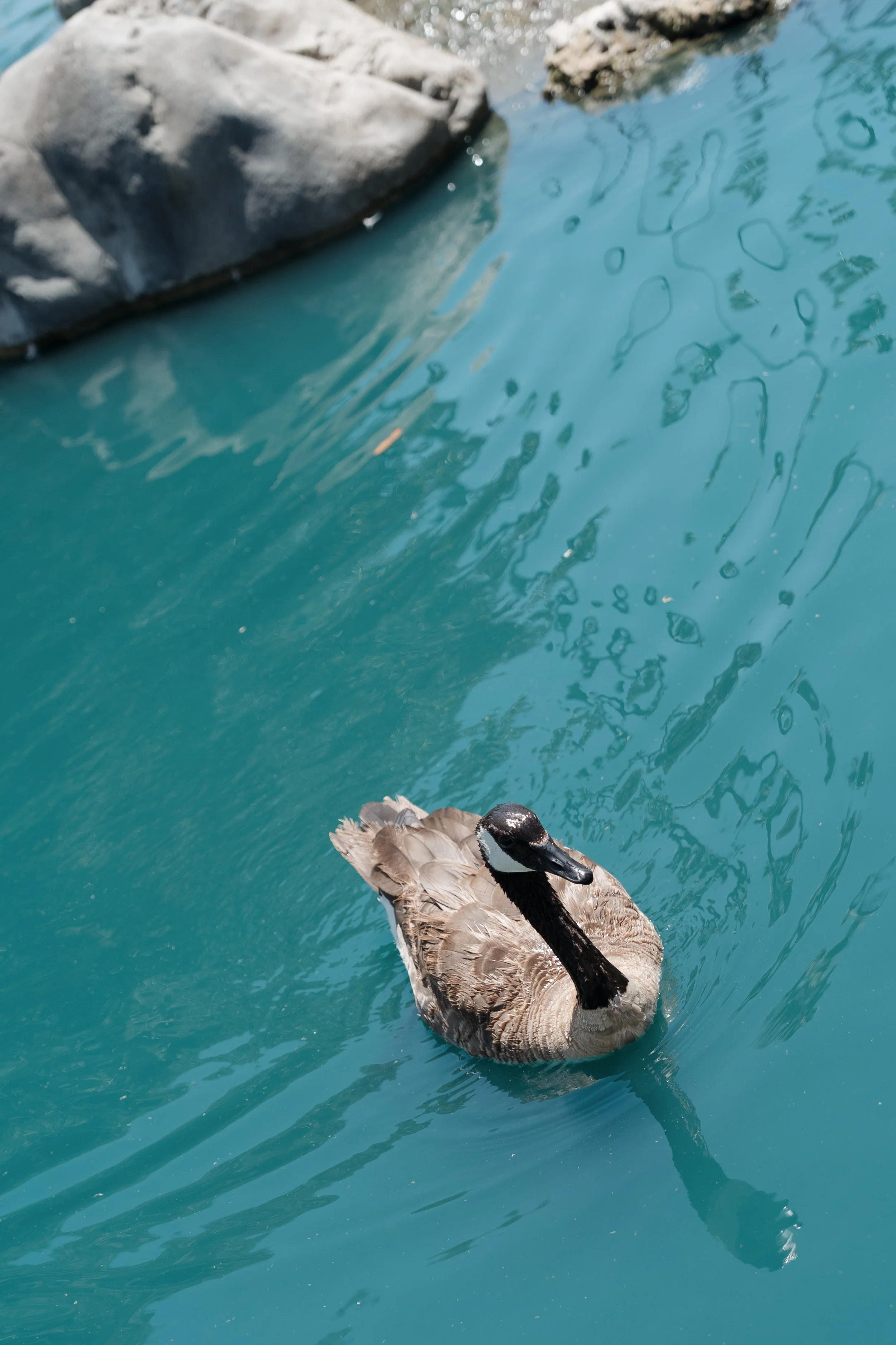 YouandPhoto-EK-Park Session-1.jpg