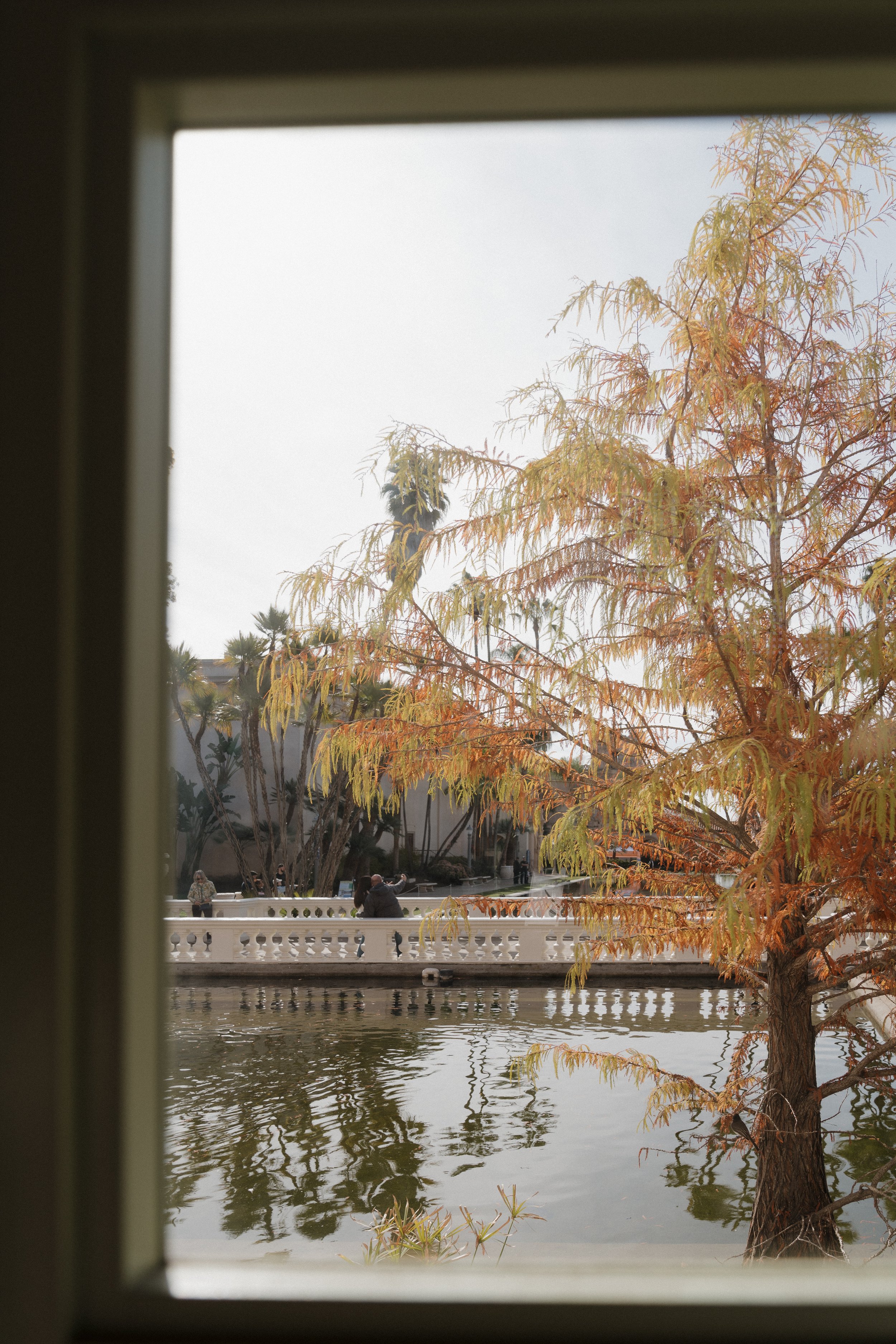 balboa park-4.jpg