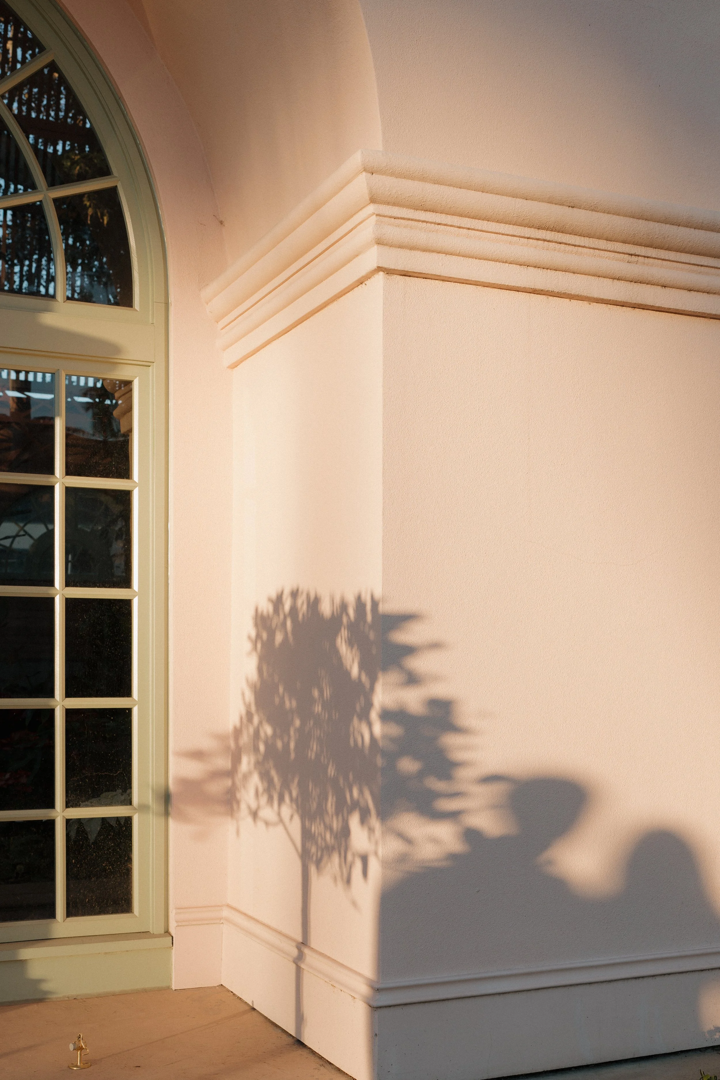 youandphoto-J+J-BalboaPark-37.jpg