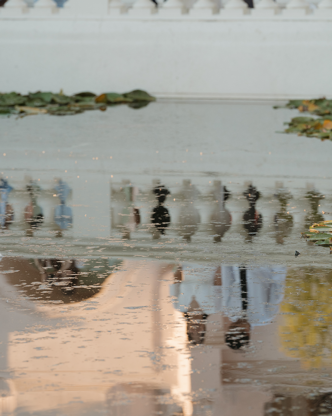 Reflective pond with lily pads mirroring a grand white building and silhouetted onlookers