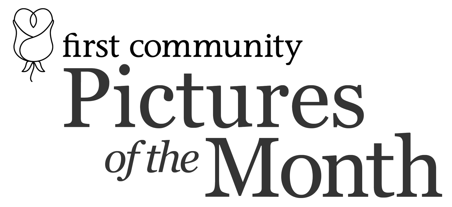 Pictures of the Month