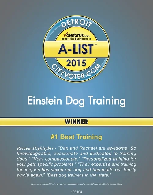 Detroit CityVoter.com 2015 A-List winner award for Einstein Dog Training, named #1 Best Training