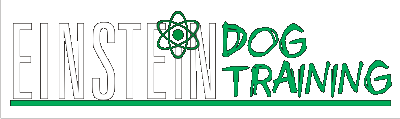 Einstein Dog Training