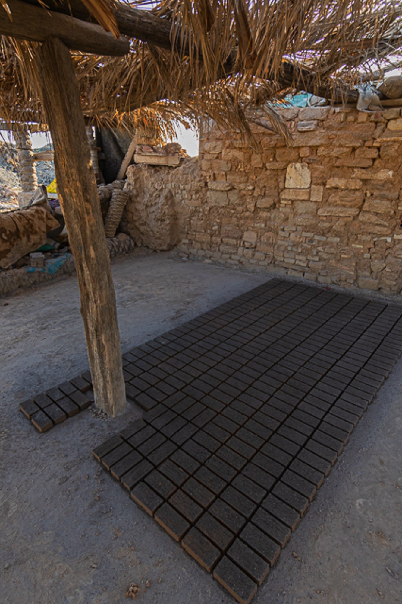 DSC03448-2.jpg