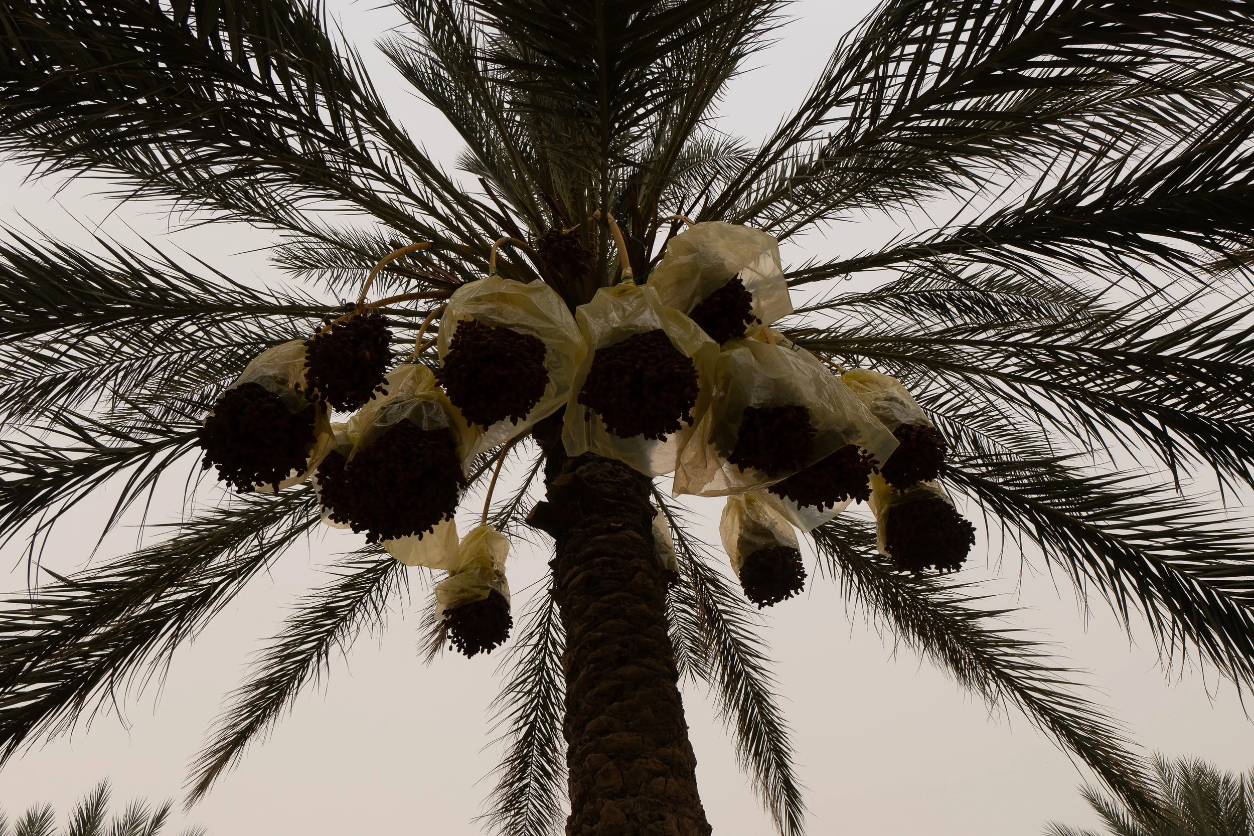 DSC01673-2.jpg