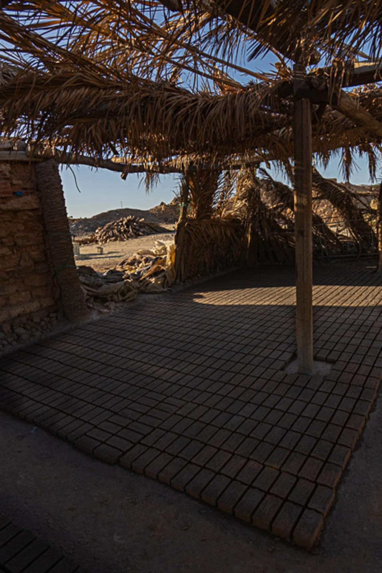 DSC03447-2.jpg