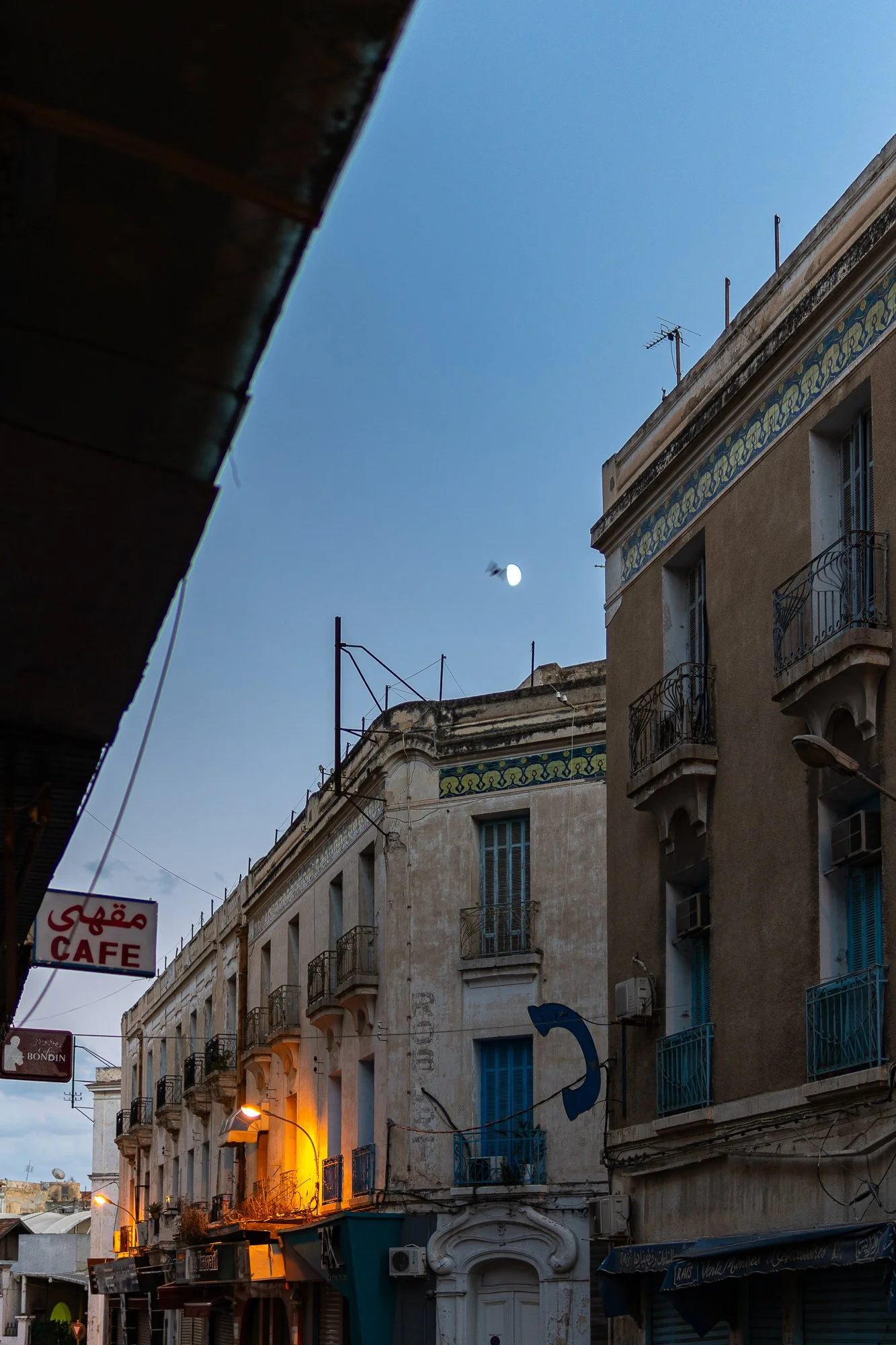 DSC01055-2.jpg