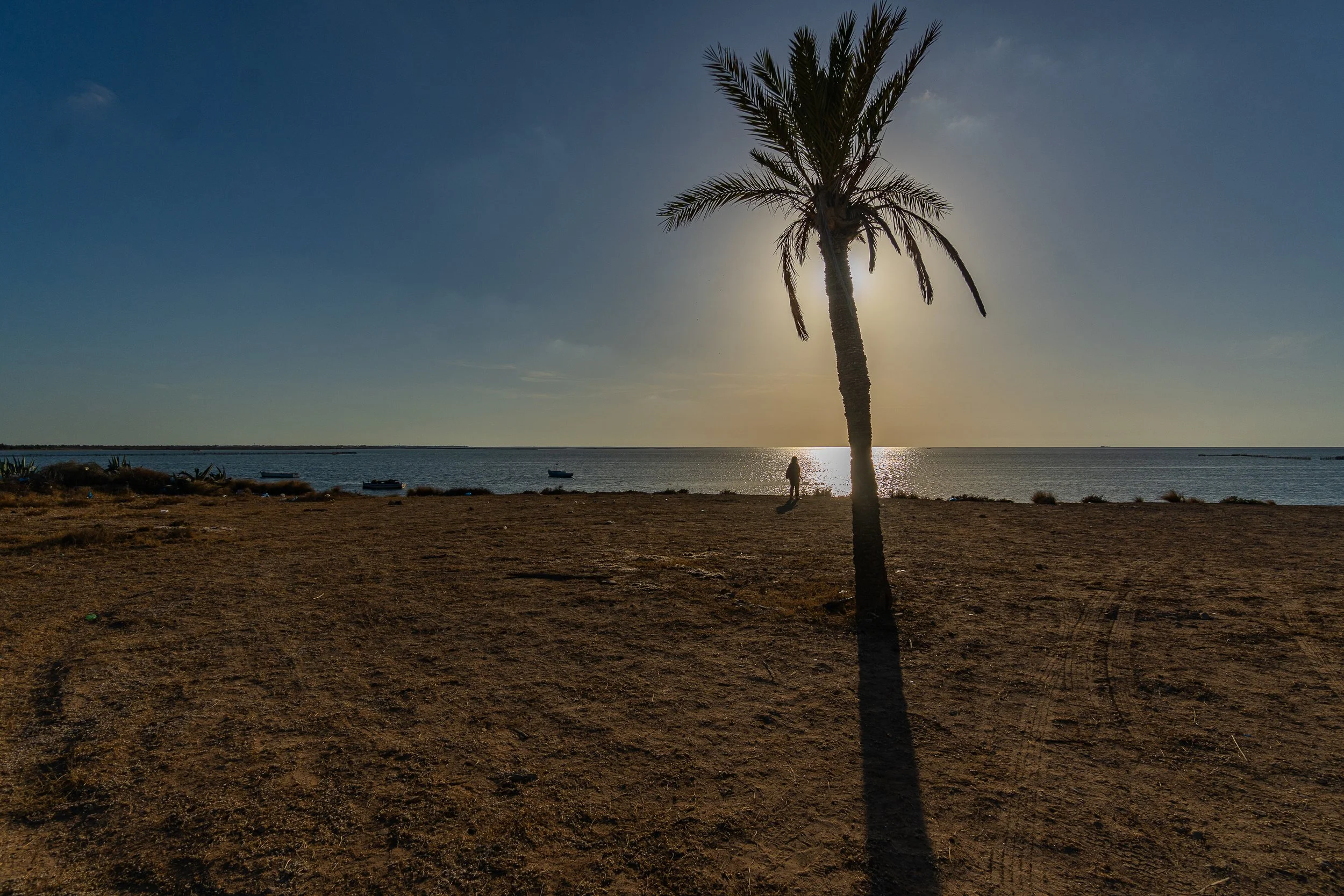 DSC03953-2.jpg
