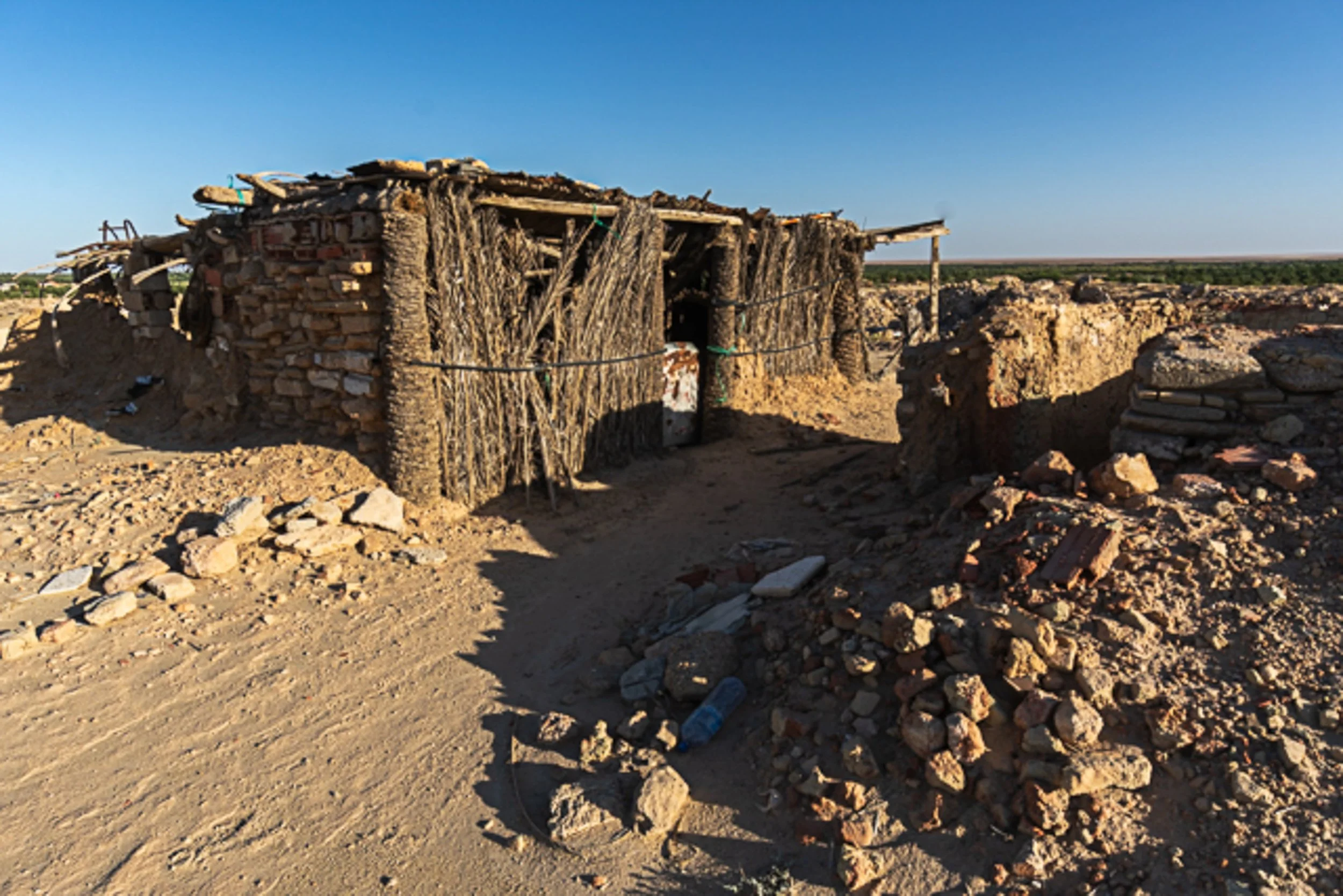 DSC03441-2.jpg