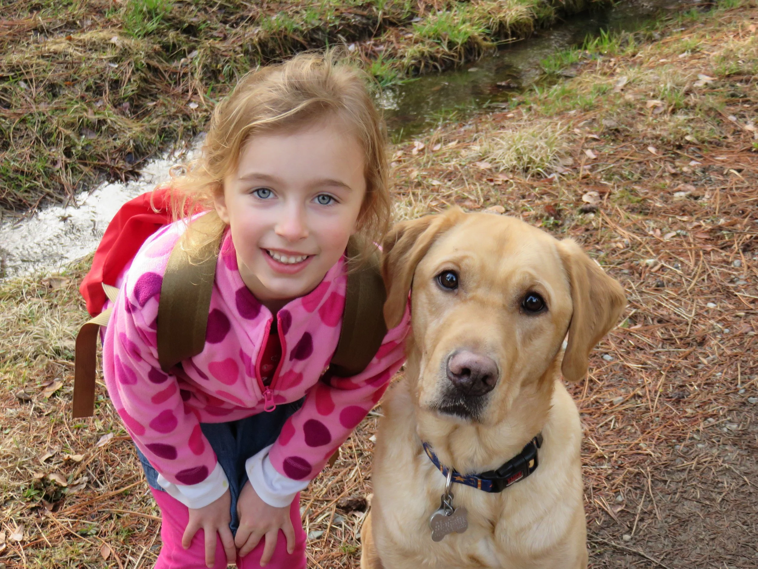 Smiling young girl in a pink heart-patterned jacket posing outdoors beside a golden Labrador retriever near a creek
