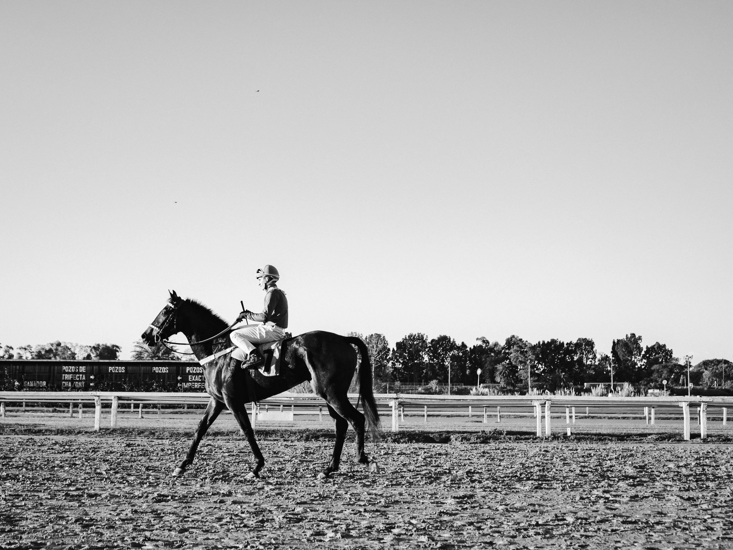 HIPODROMO PALERMO