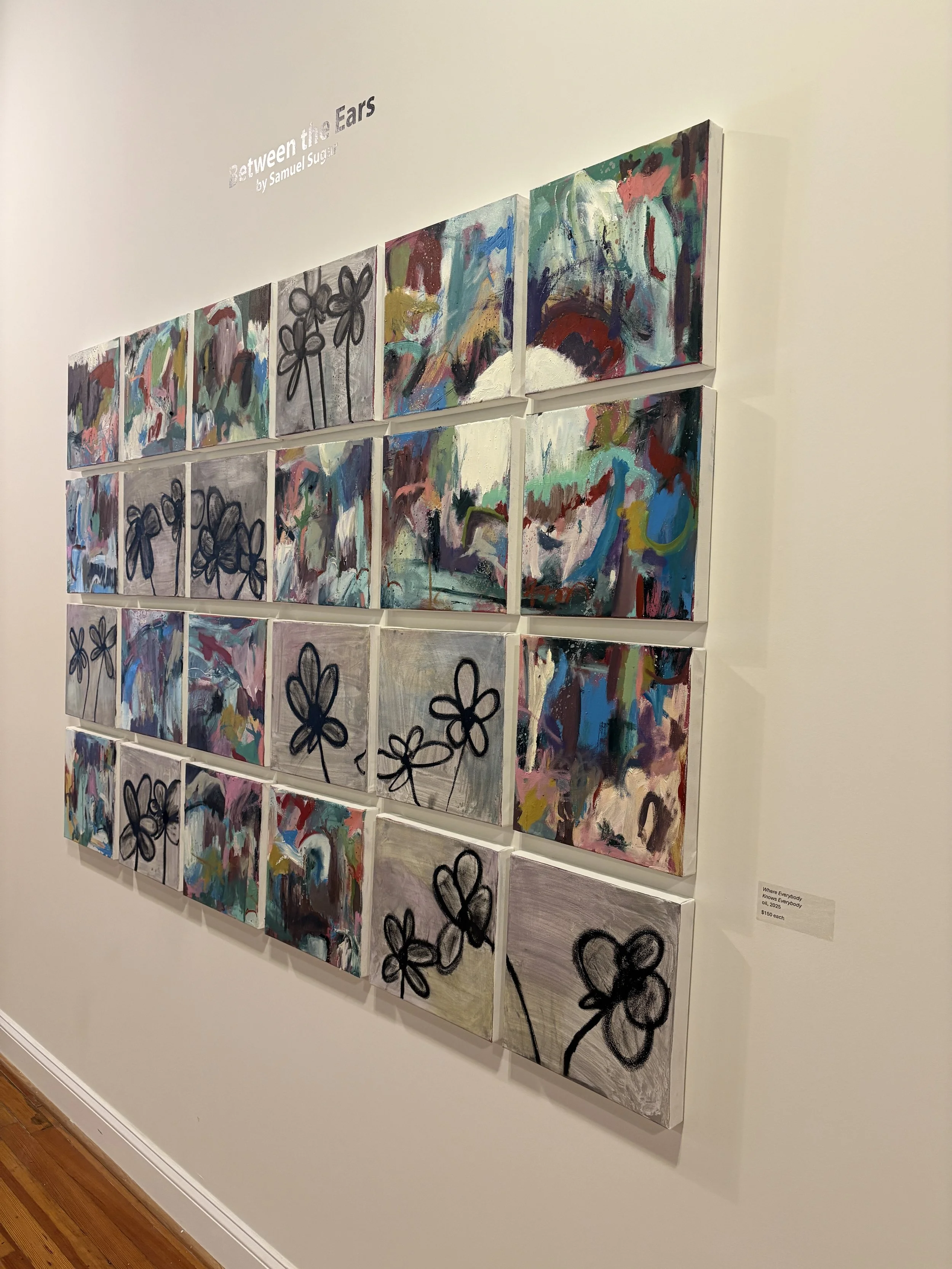 Gallery wall displaying Samuel Sugar’s colorful abstract series “Between the Ears,” with floral line drawings and exhibit labels.