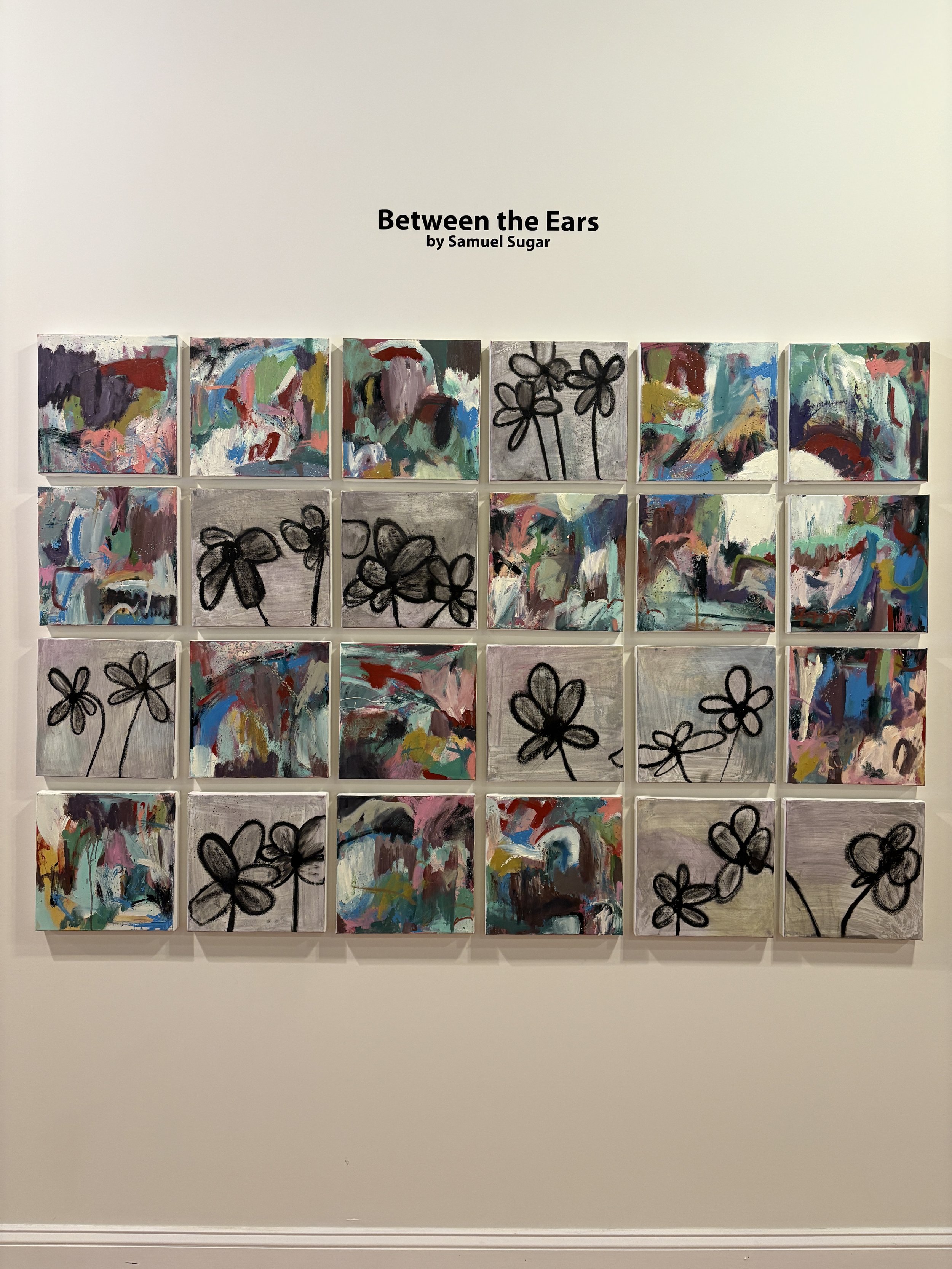 Gallery wall displaying colorful abstract paintings and black flower drawings, titled “Between the Ears” by Samuel Sugar.