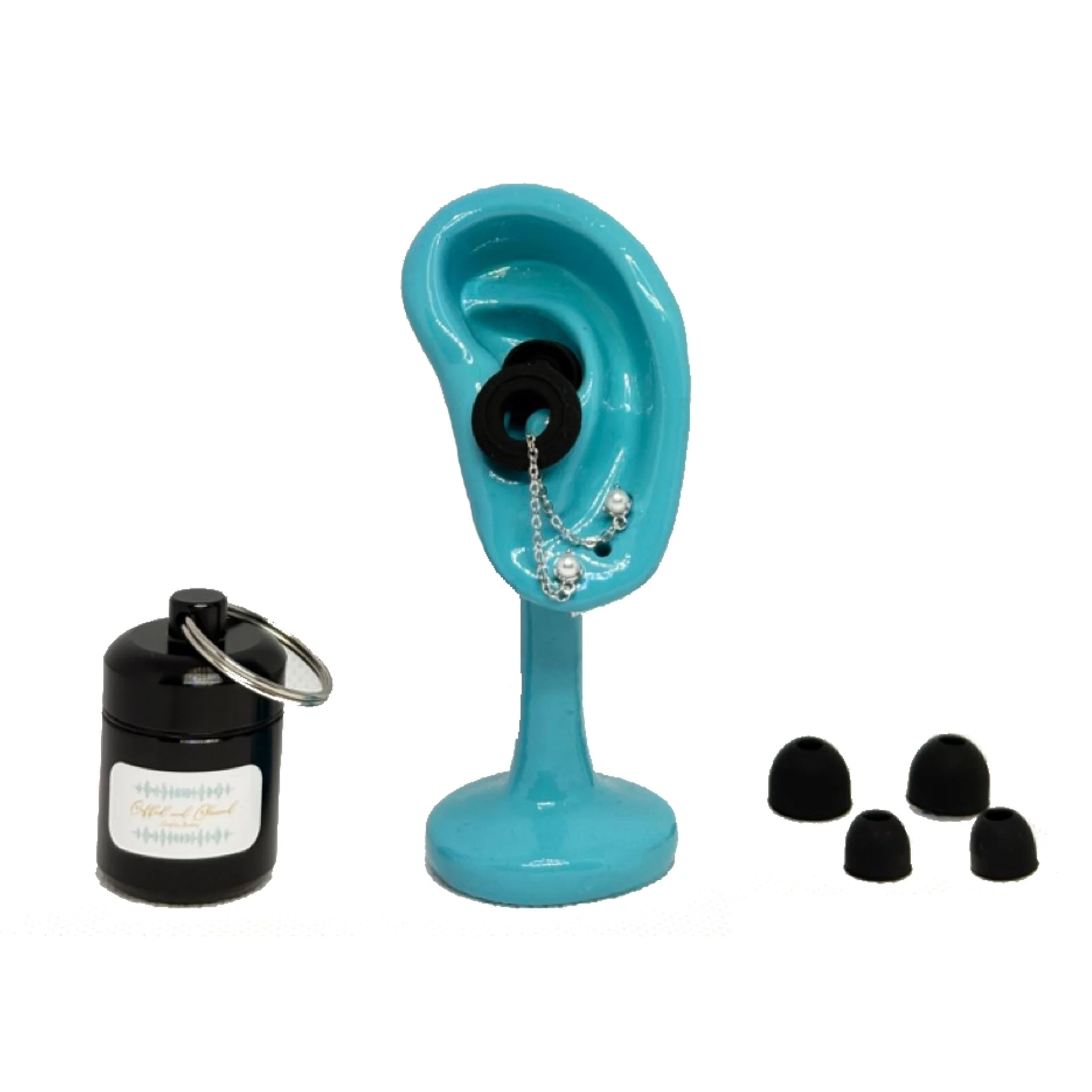 CCSS-S-PSTUD 1.jpg