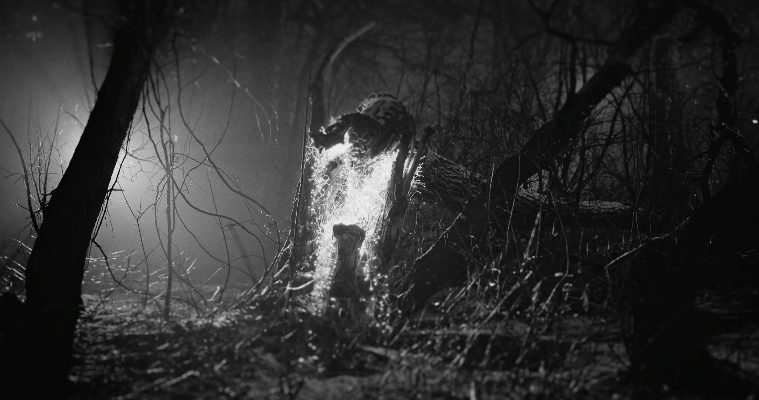 06-frame.jpg