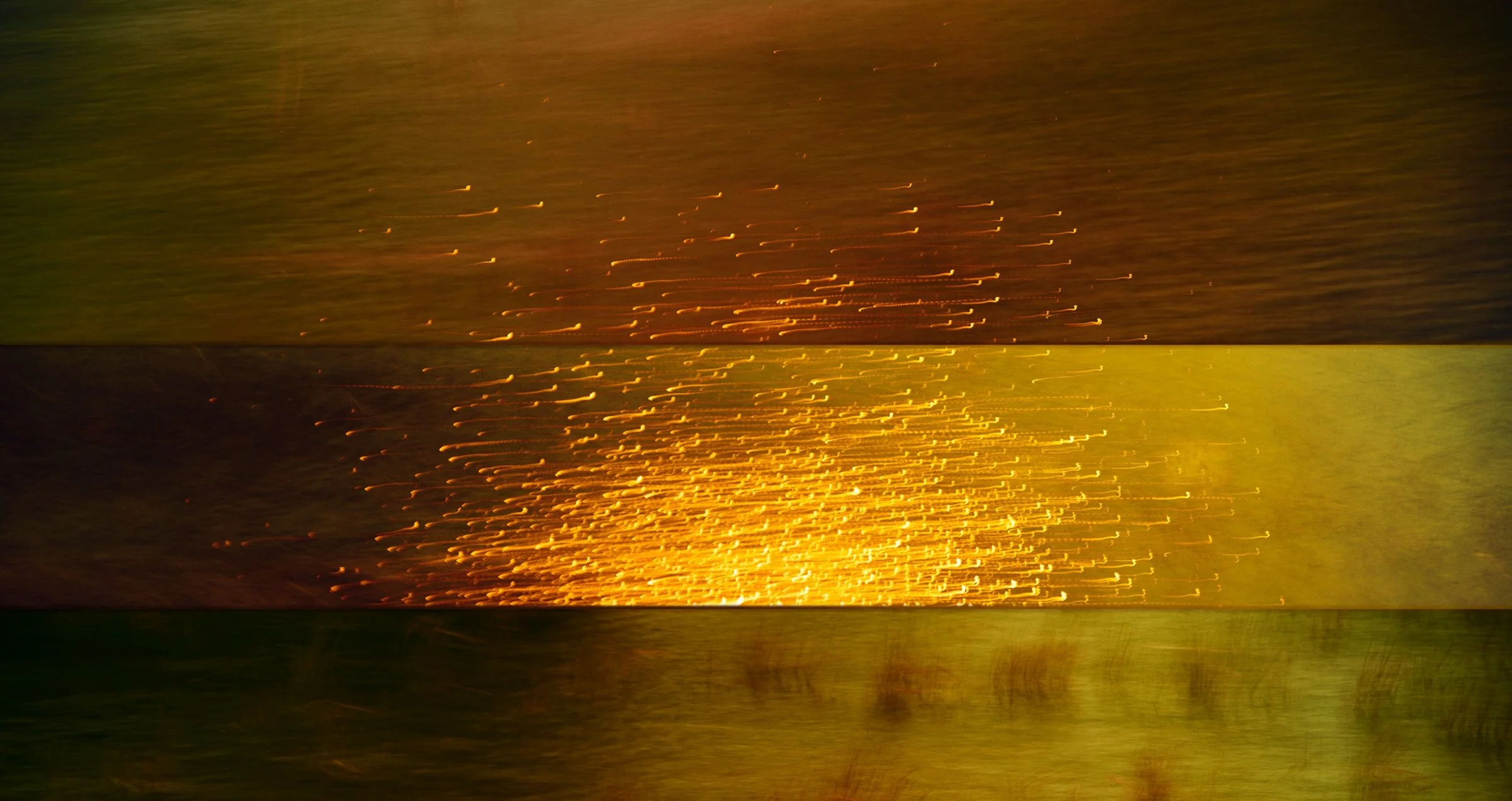 _02_light.jpg
