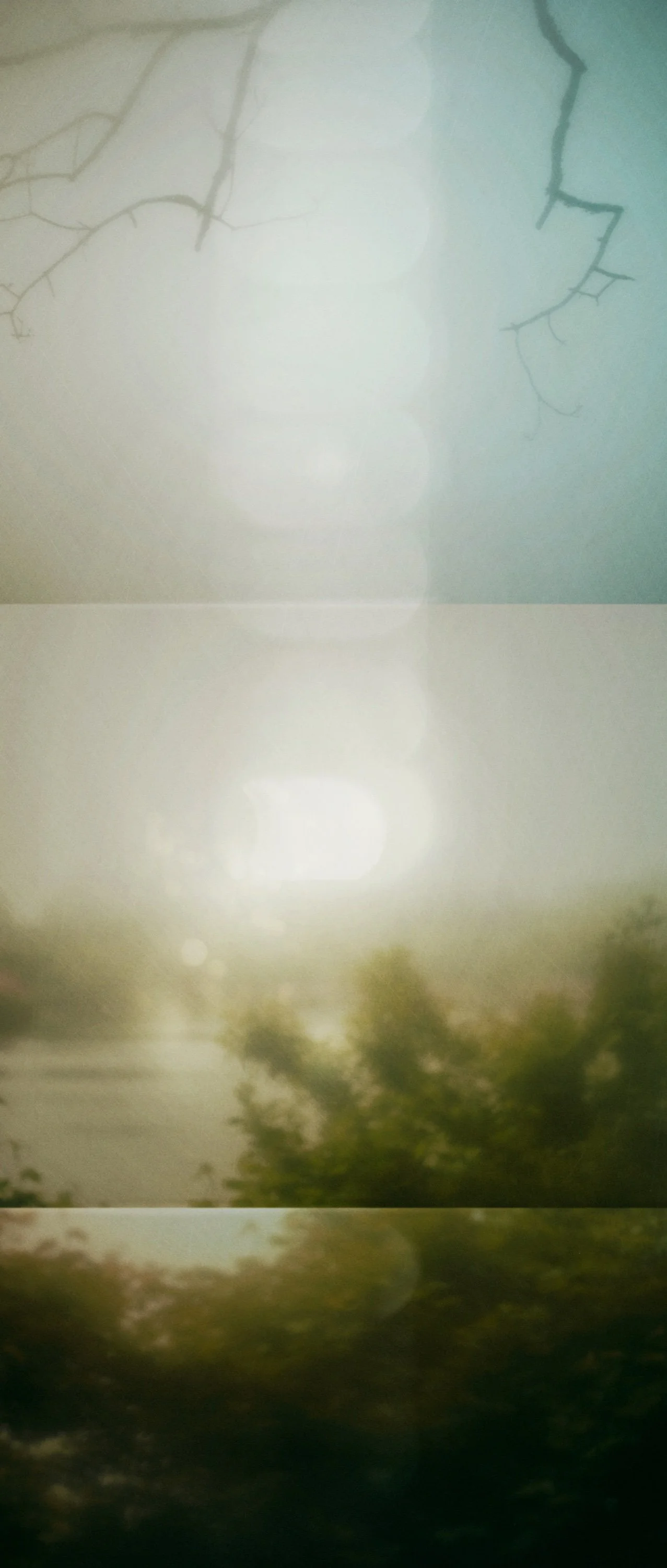 23-05cNEW-Grenadier Fog.jpg