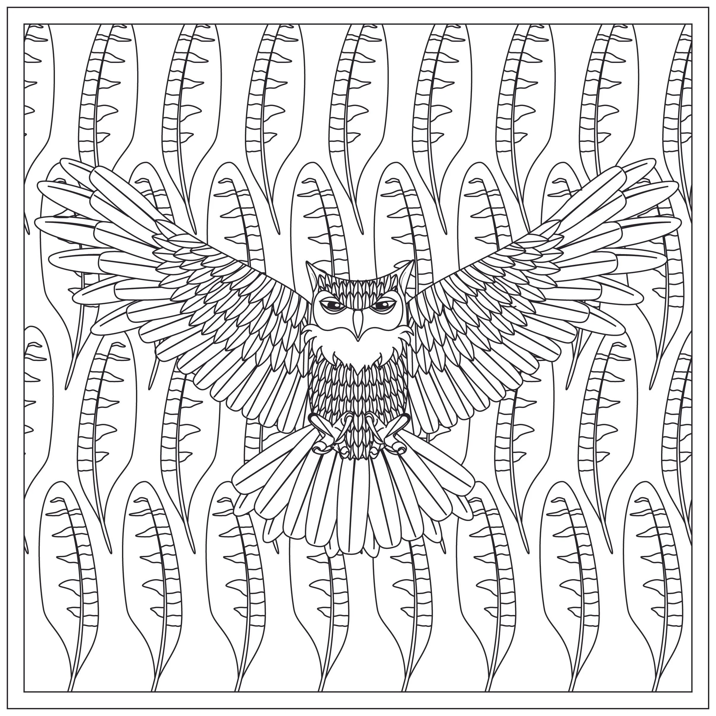 Owl.jpg