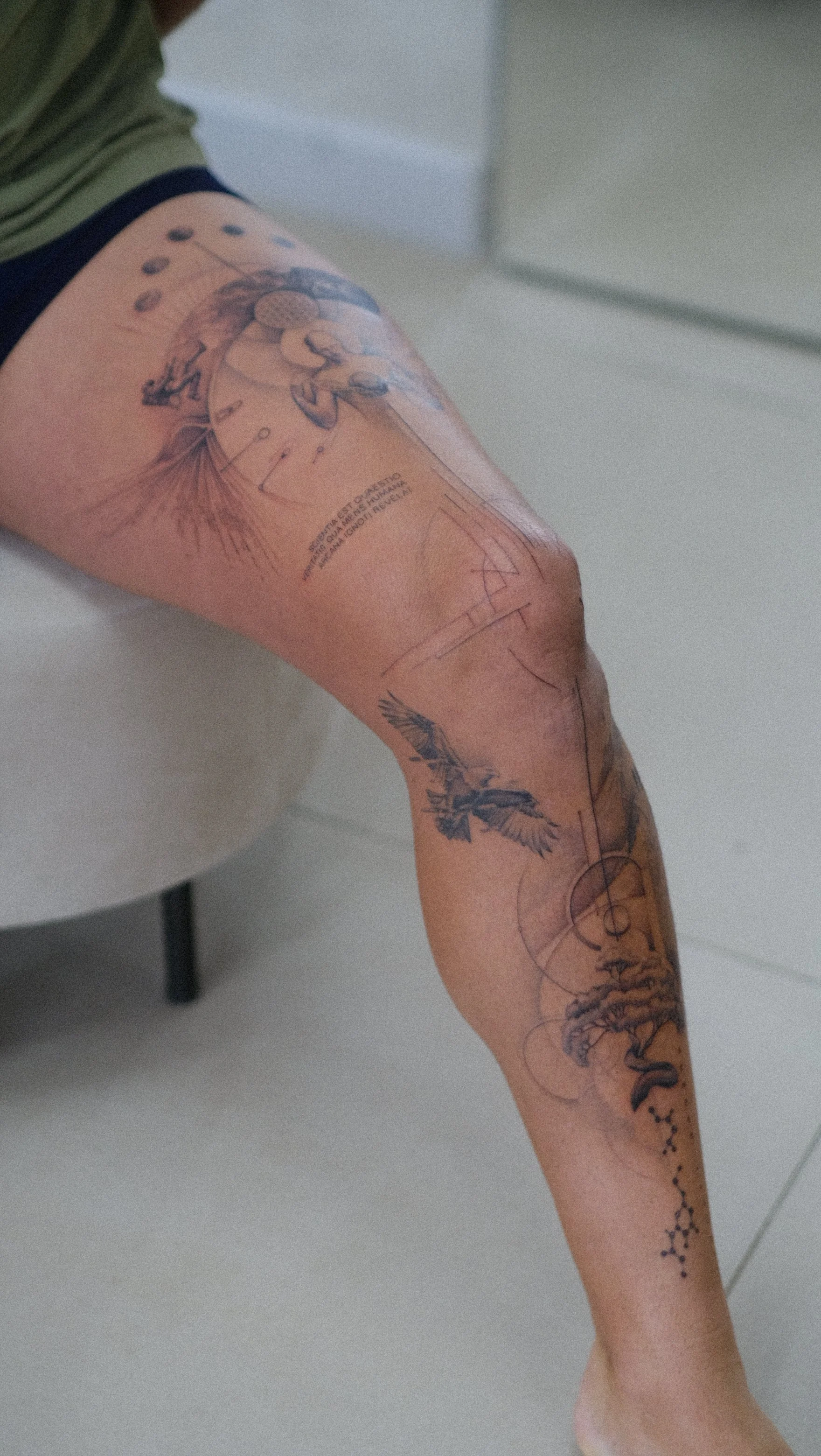 Gros plan d’une jambe tatouée, pliée au niveau du genou, avec plusieurs motifs floraux et animaliers.
