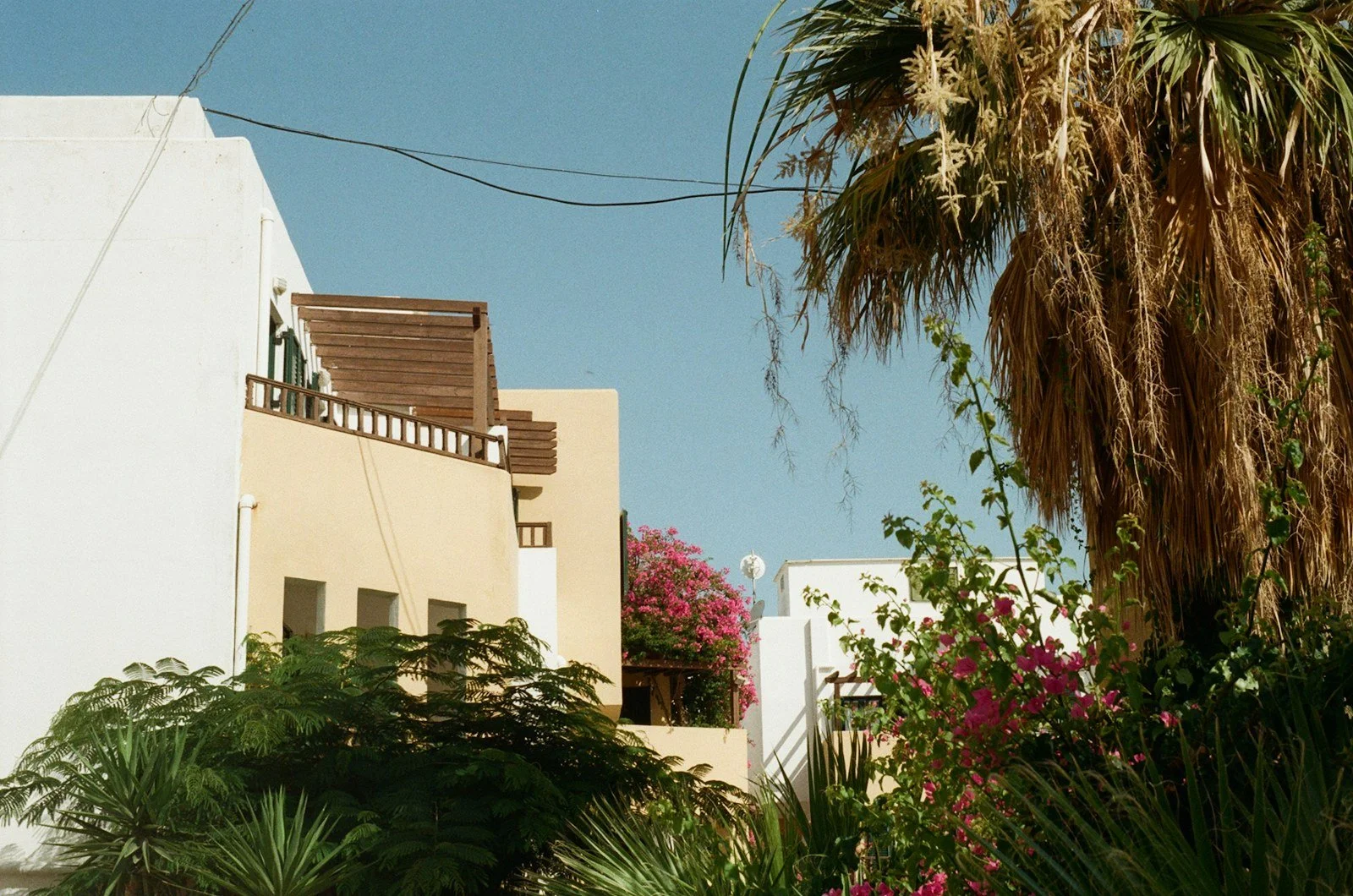 Houses and gardens in a village on Crete