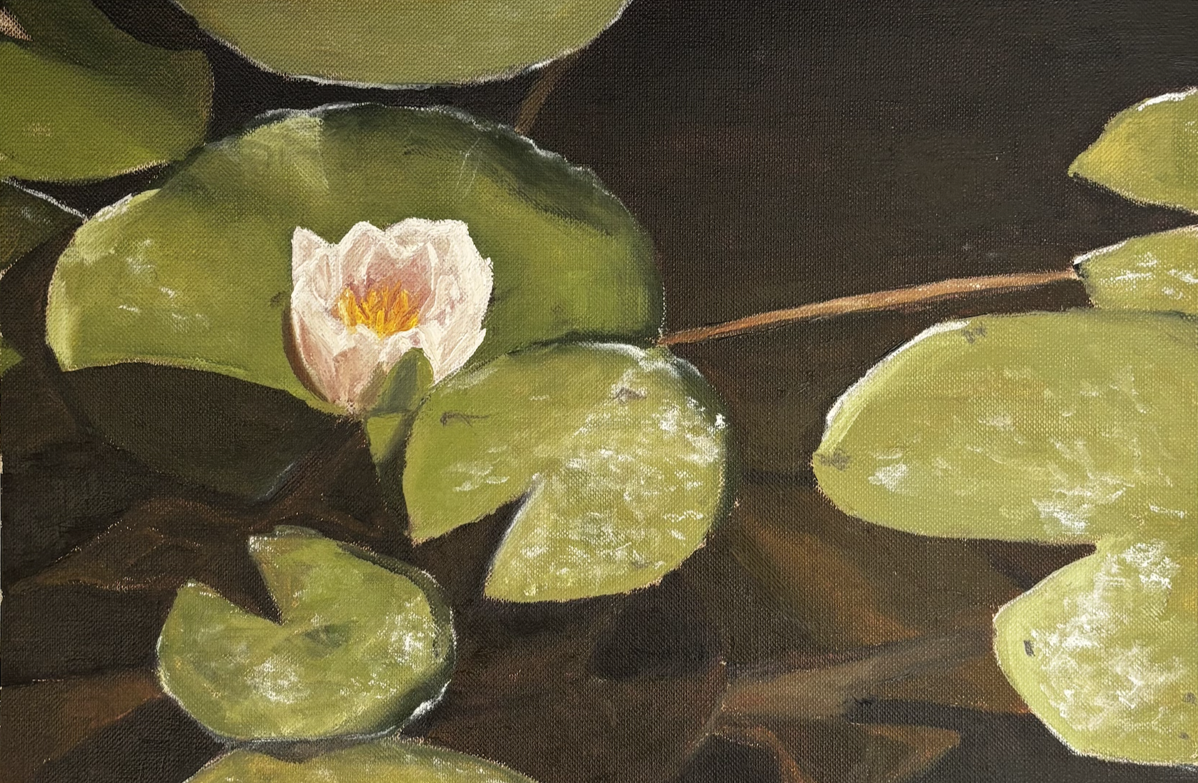 Lilly pad study - 2026 - Oil on canvas paper - 29.5 x 21cm