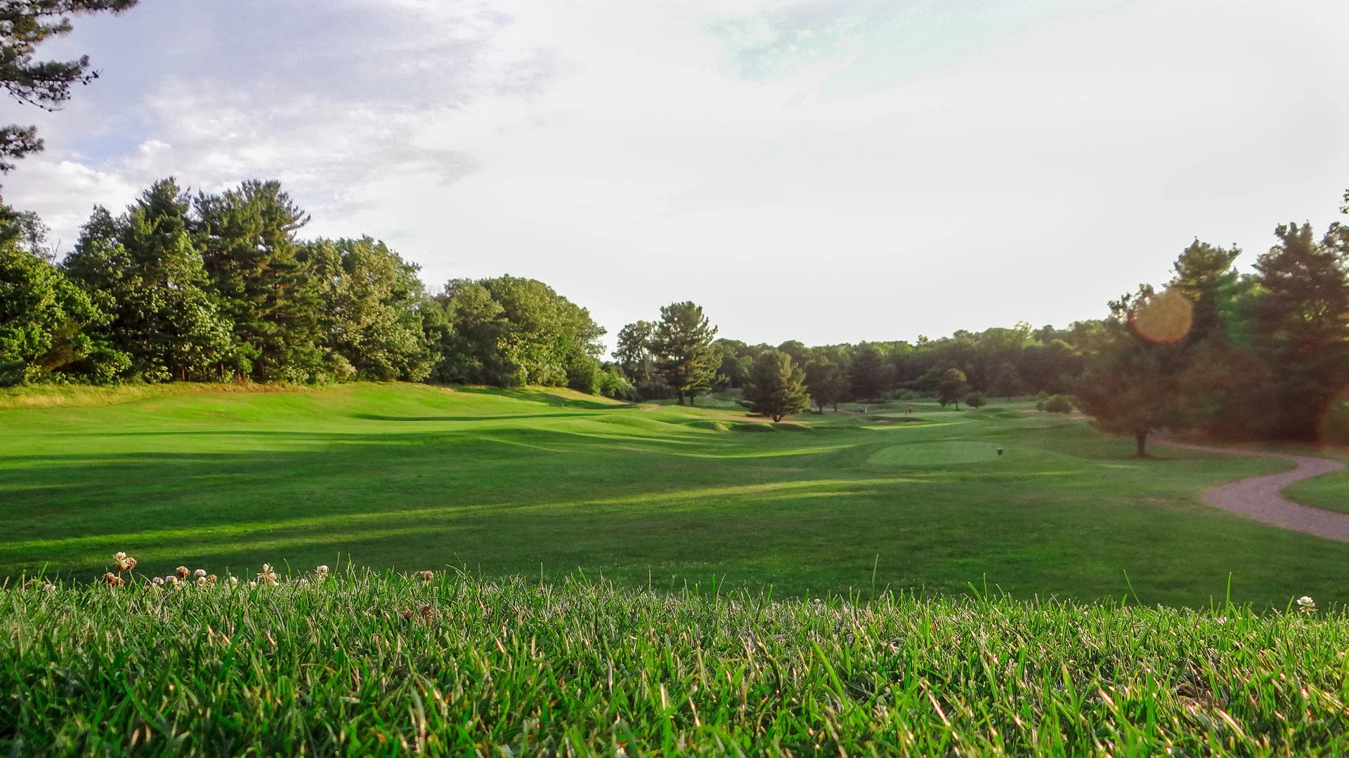 Fairway and trees at Hawk’s Landing Country Club in Southington, Connecticut