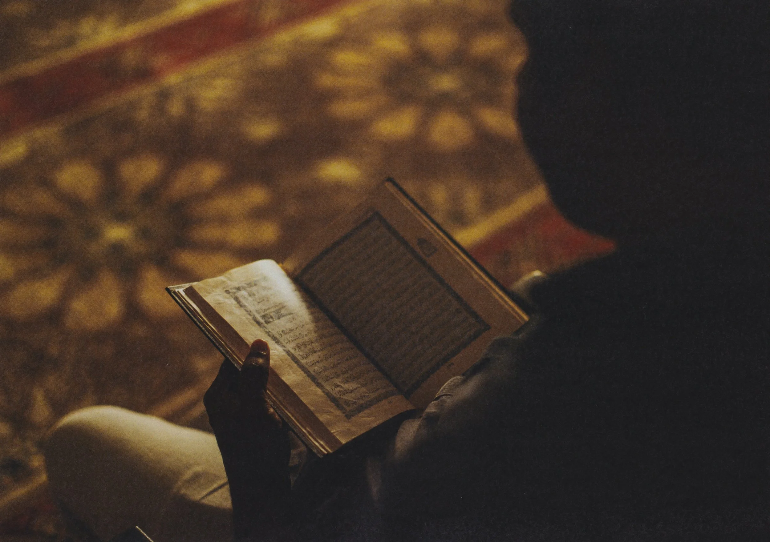 PAGE 25 copy.jpg