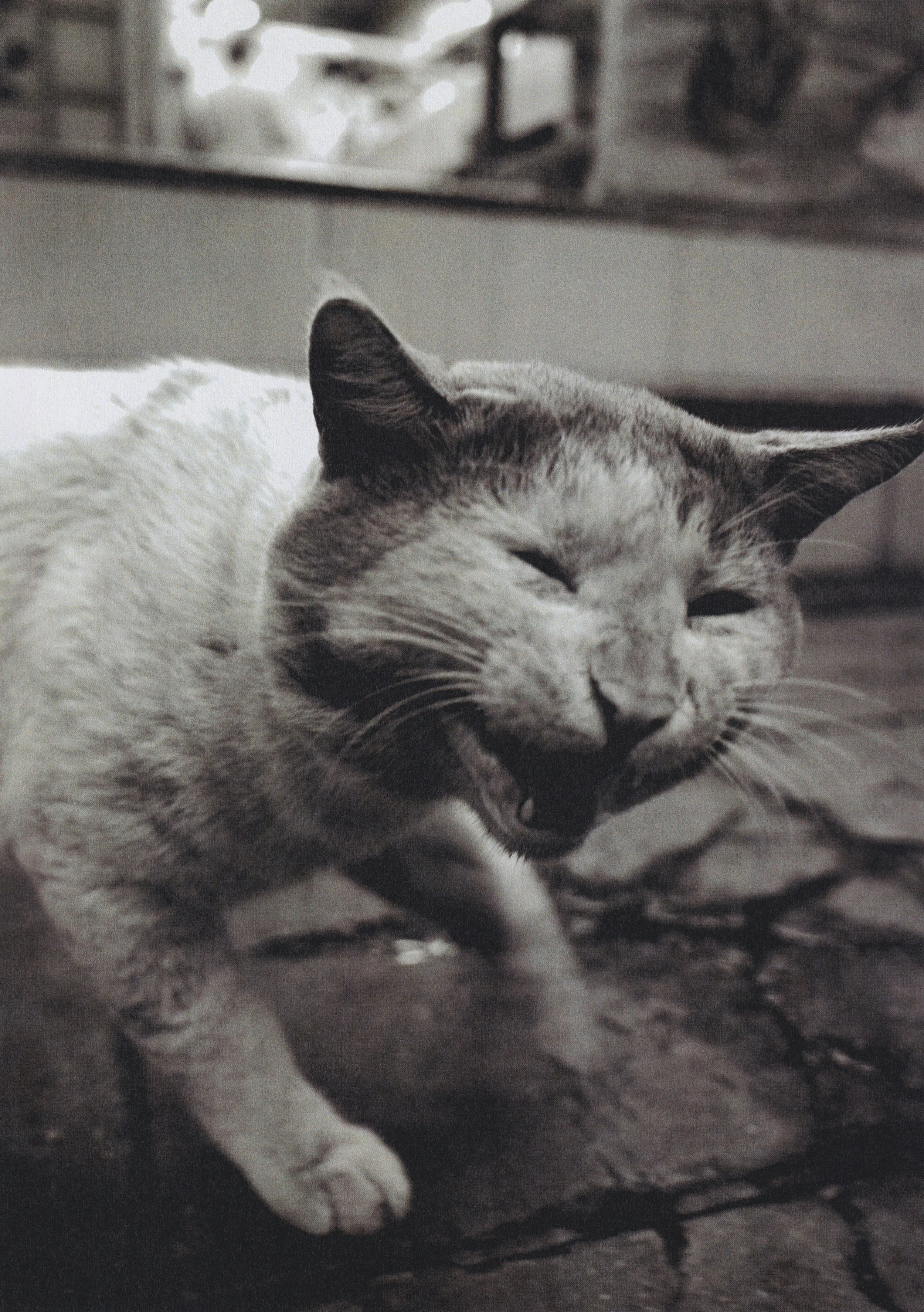 PAGE 140 copy.jpg