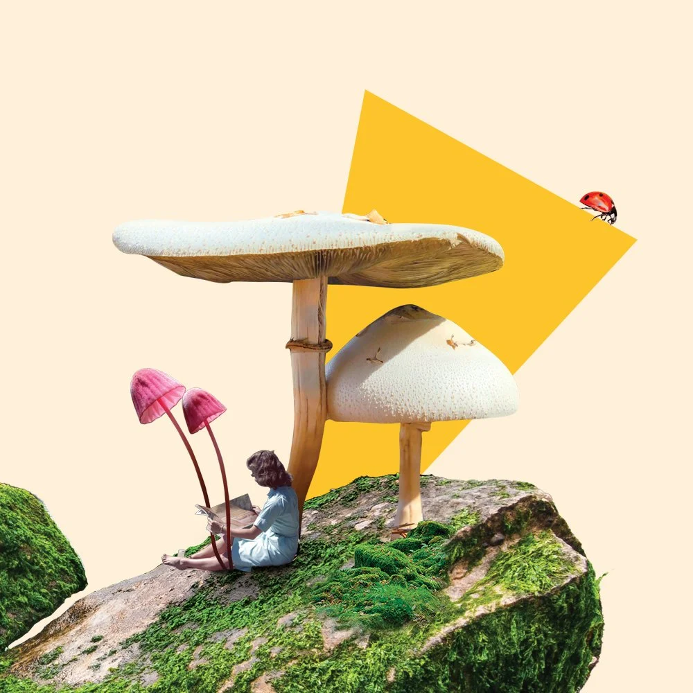 Collages and layout