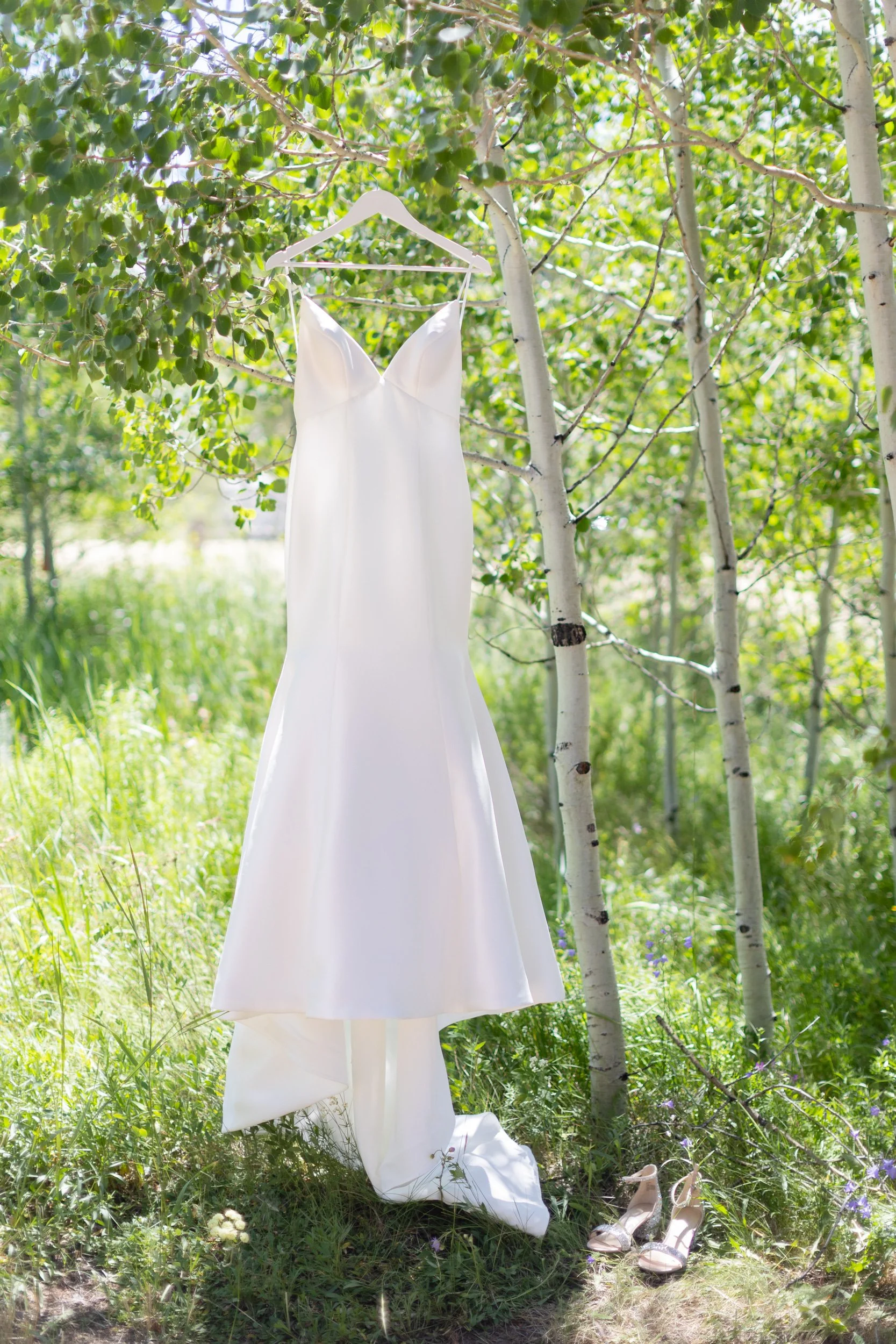 White wedding gown hanging from an aspen branch in a sunlit grove in Hot Sulphur Springs, Colorado