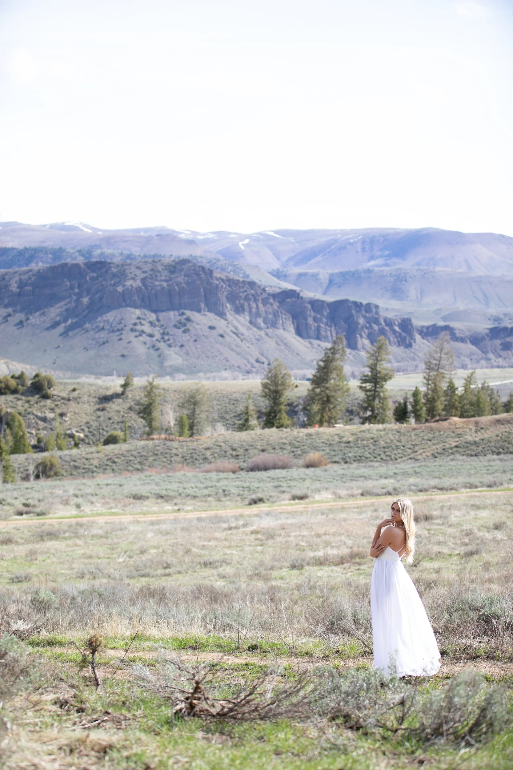 Bride in a white gown in a wide meadow with a hillside of trees at Tundra Springs, Colorado mountain wedding venue