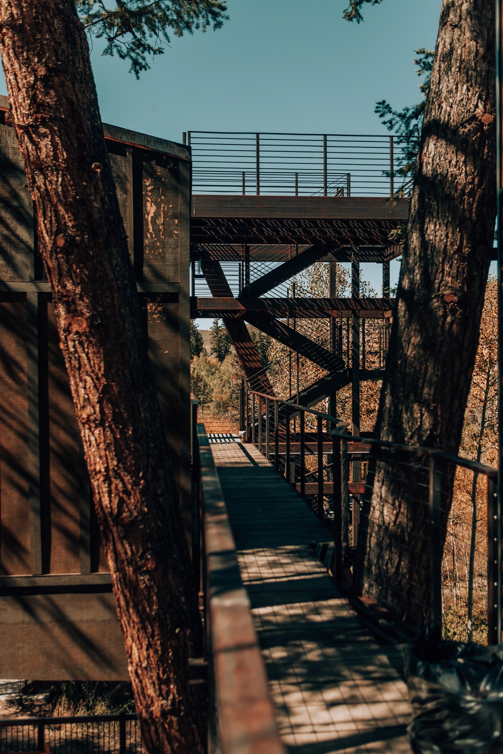 Wooden lookout tower stairway among tall pines at Tundra Springs, Colorado mountain wedding venue